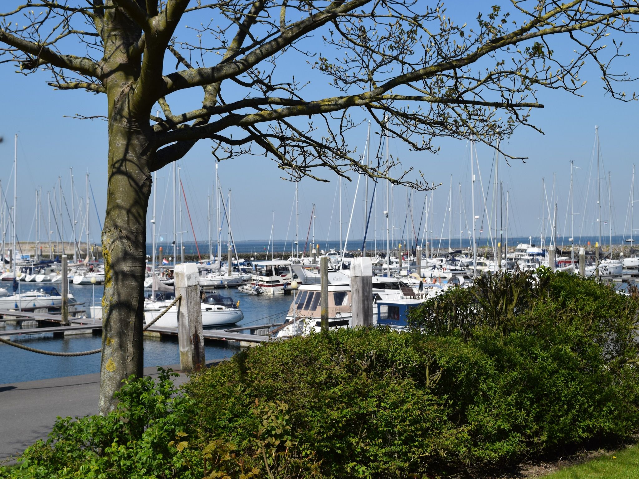 Het uitzicht vanaf Sophiaboulevard 15 in Kamperland