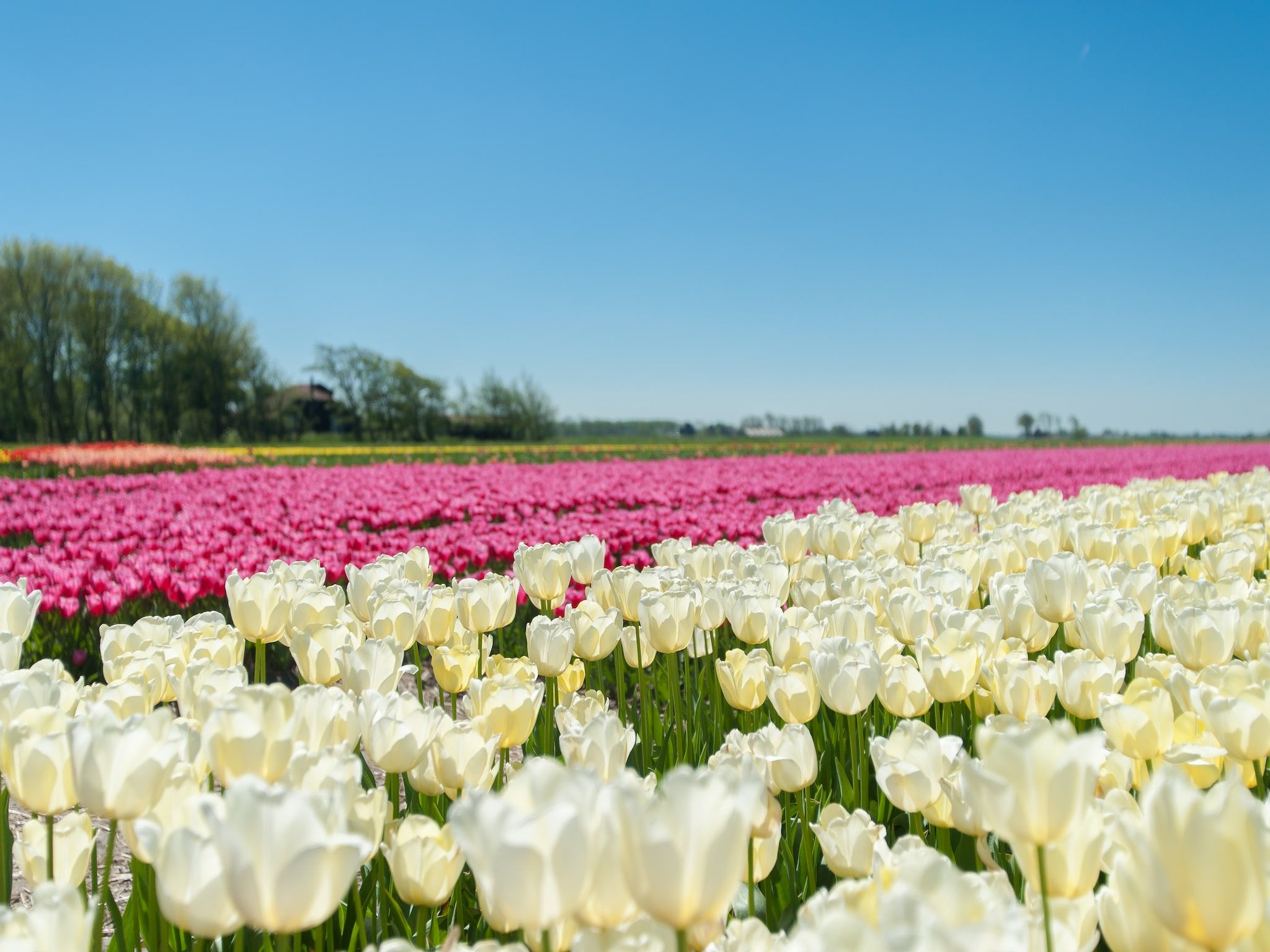 De omgeving van Storm Bries in Callantsoog
