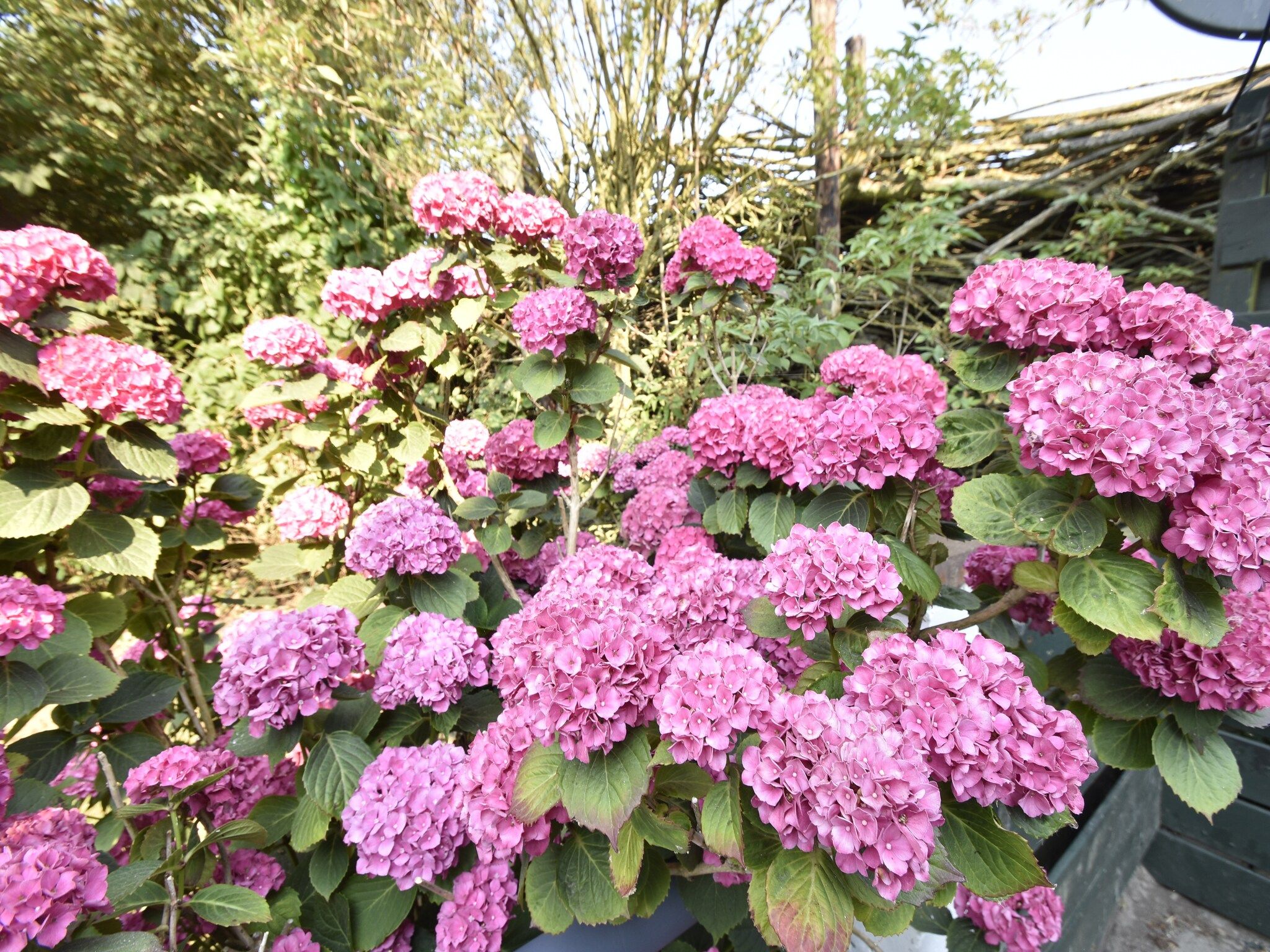 Sfeerbeeld van Storm Bries in Callantsoog