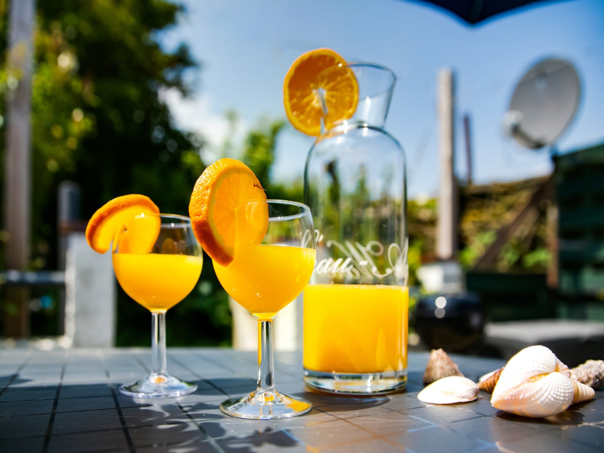 Sfeerbeeld van Storm Bries in Callantsoog