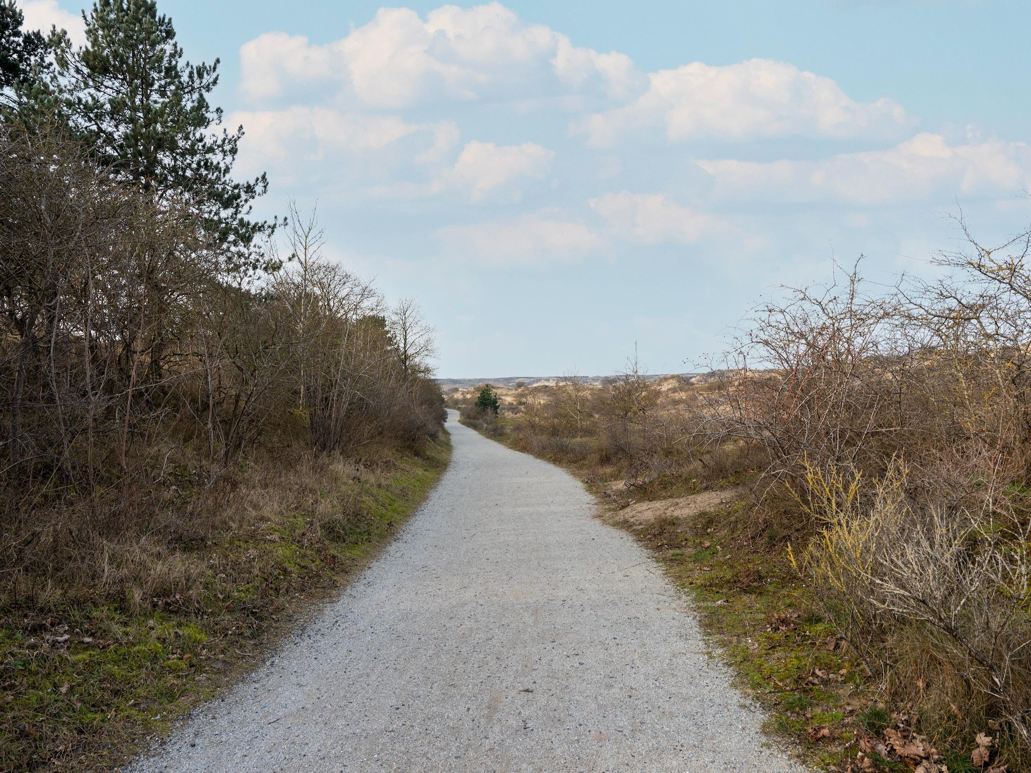 De omgeving van De Zilvermeeuw in Noordwijk