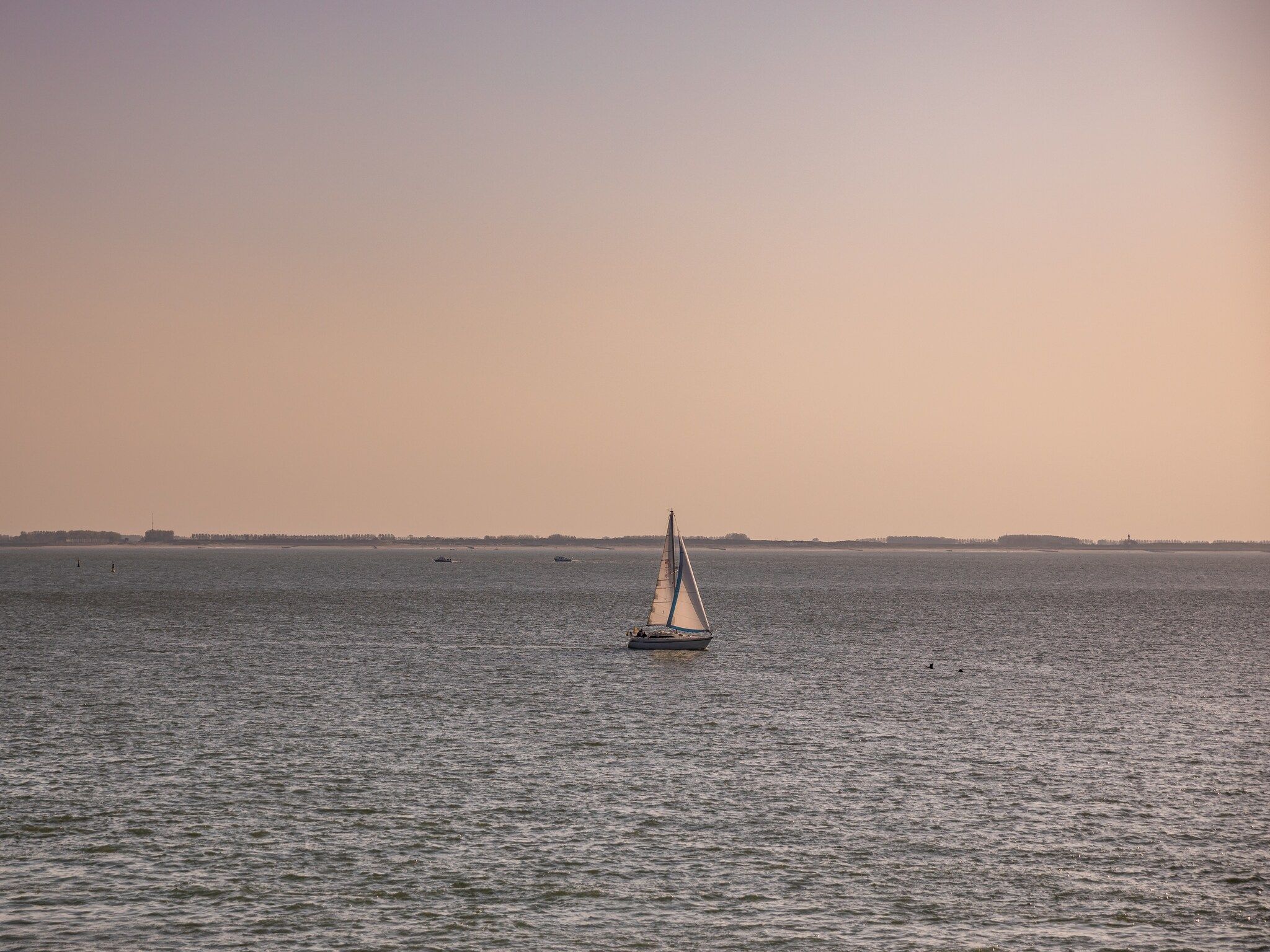 De omgeving van Noordzee Resort Vlissingen 3 in Vlissingen