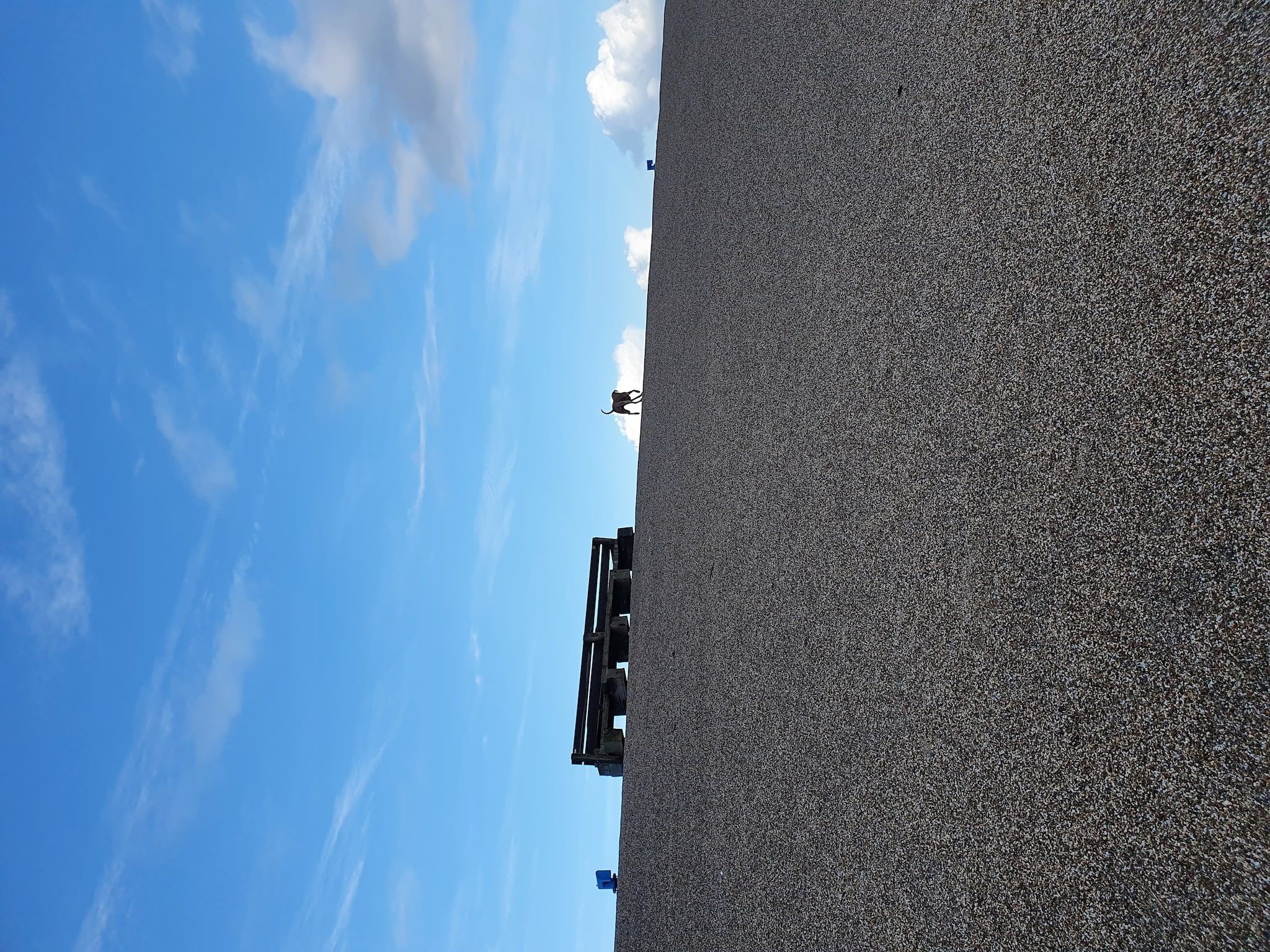 Krokus 10 in Breskens - Foto 37 van 44