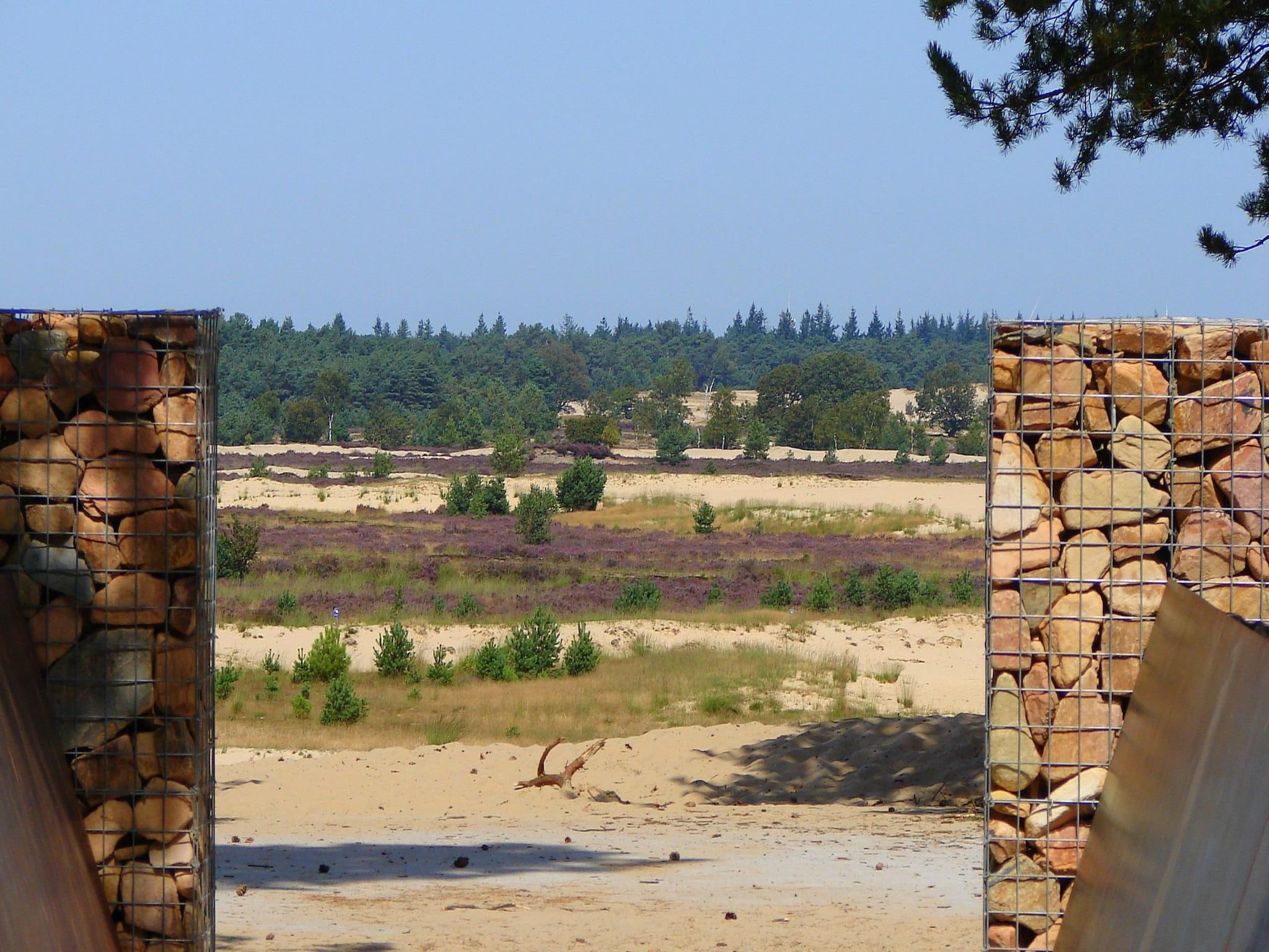 De omgeving van Recreatiepark Duinhoeve 11 in Udenhout