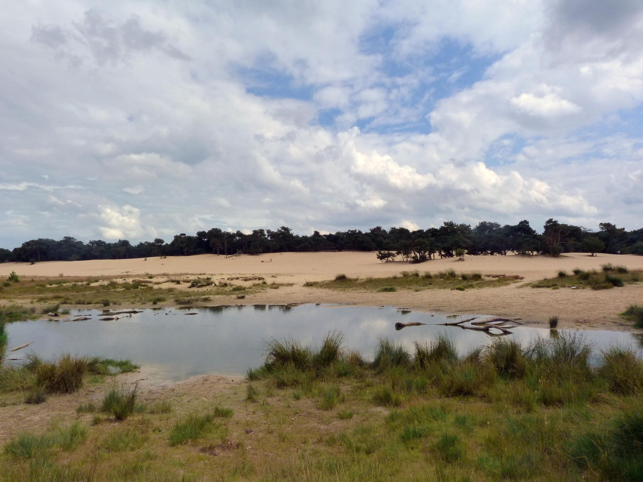 De omgeving van Recreatiepark Duinhoeve 11 in Udenhout