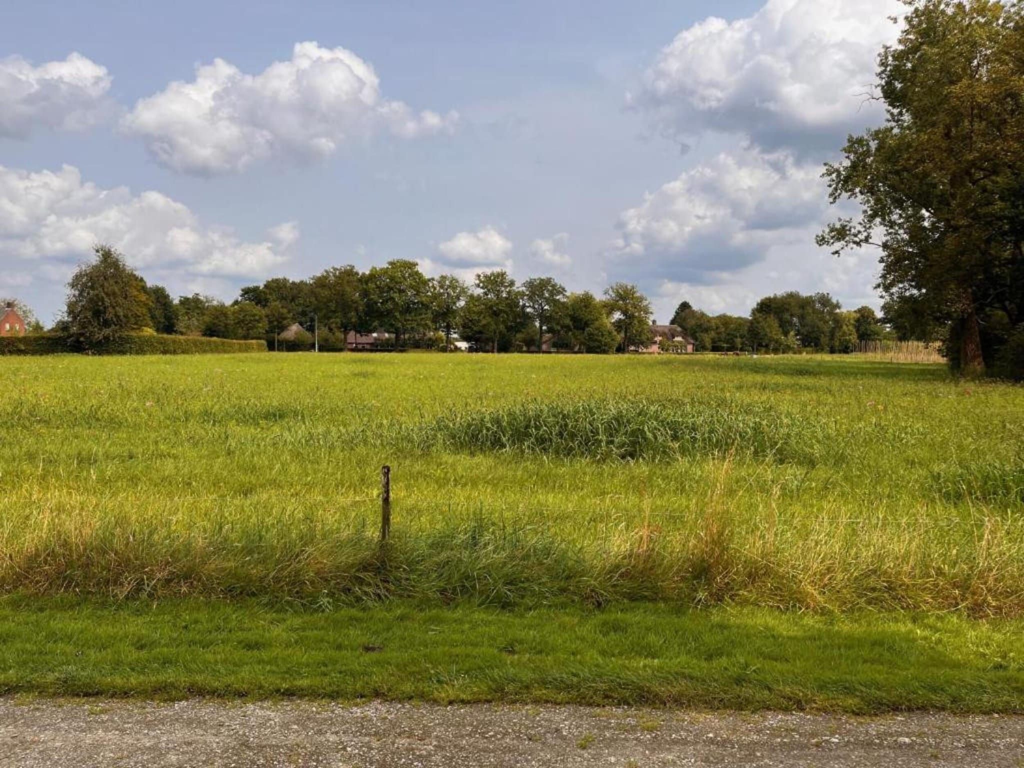 Recreatiepark Duinhoeve 12 in Udenhout - Foto 40 van 40