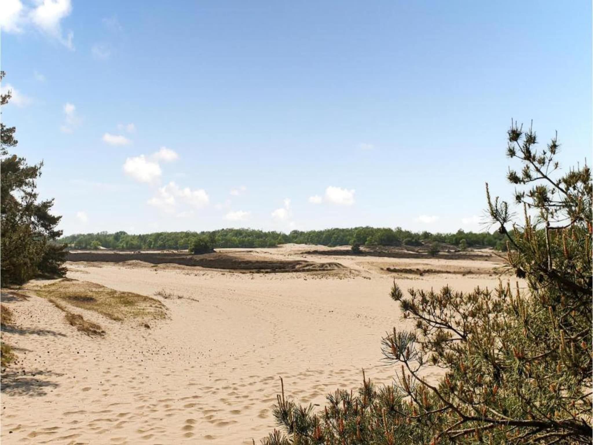 Recreatiepark Duinhoeve 13 in Udenhout - Foto 30 van 40