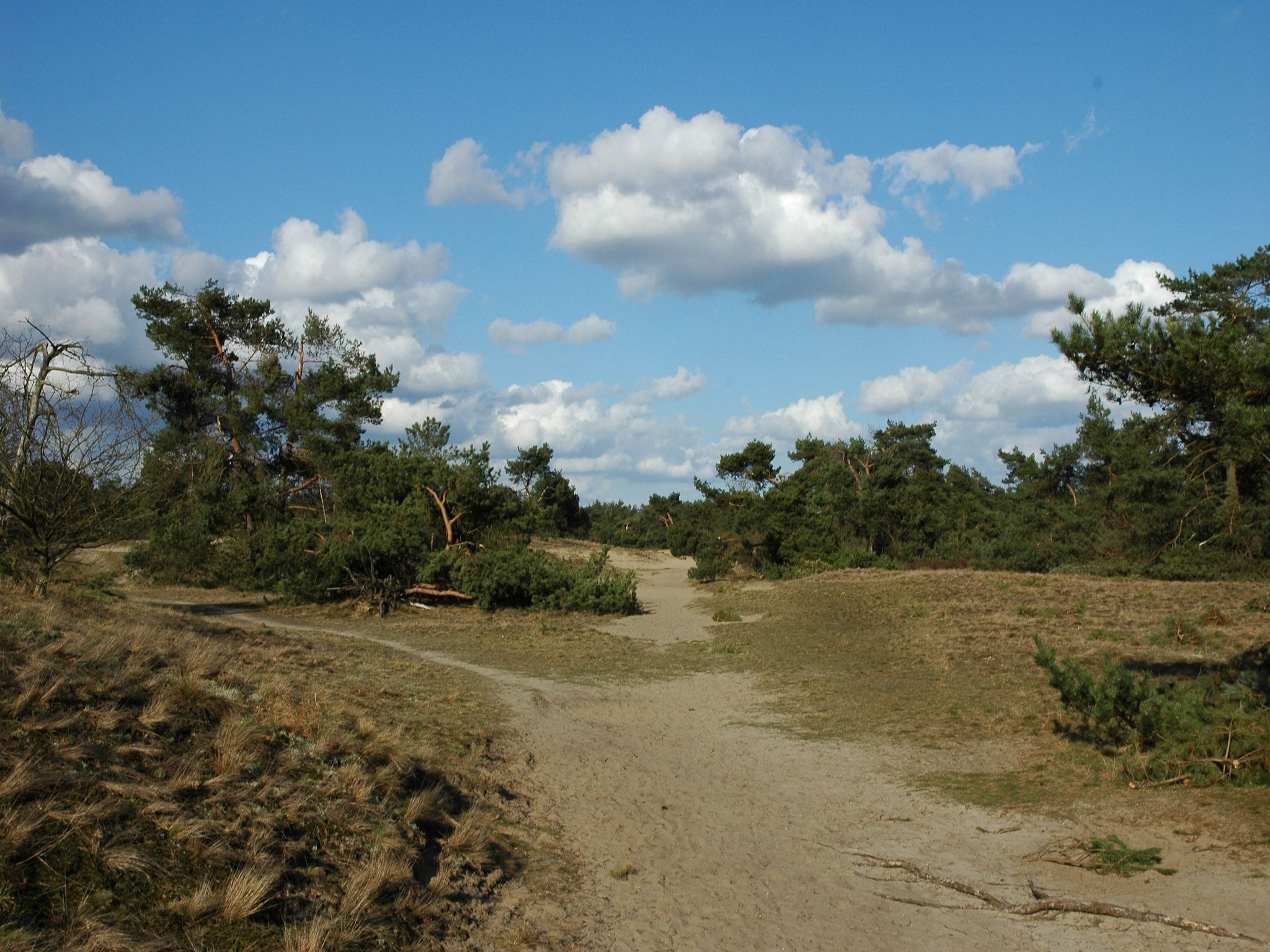 Landgoed De IJsvogel 6 in Voorthuizen - Foto 26 van 40