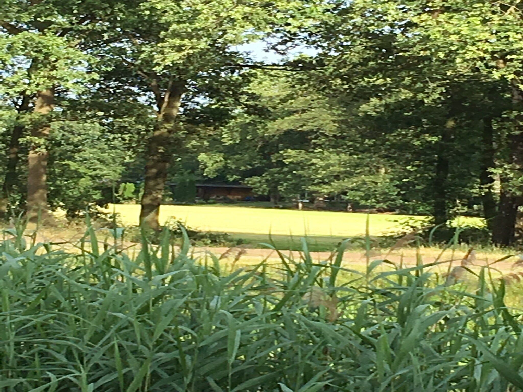 Het uitzicht vanaf Oarich Trechte in Reutum-Weerselo