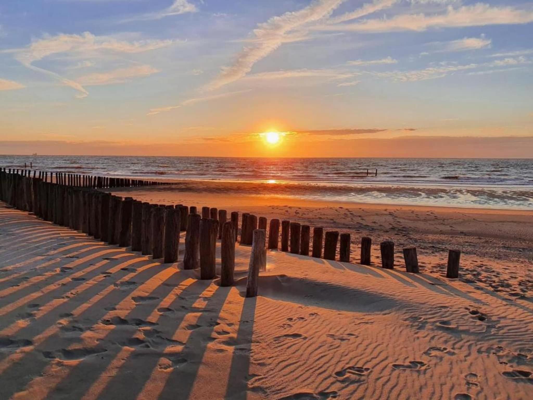 Beach Resort Nieuwvliet-Bad 4 in Nieuwvliet-Bad - Foto 33 van 40