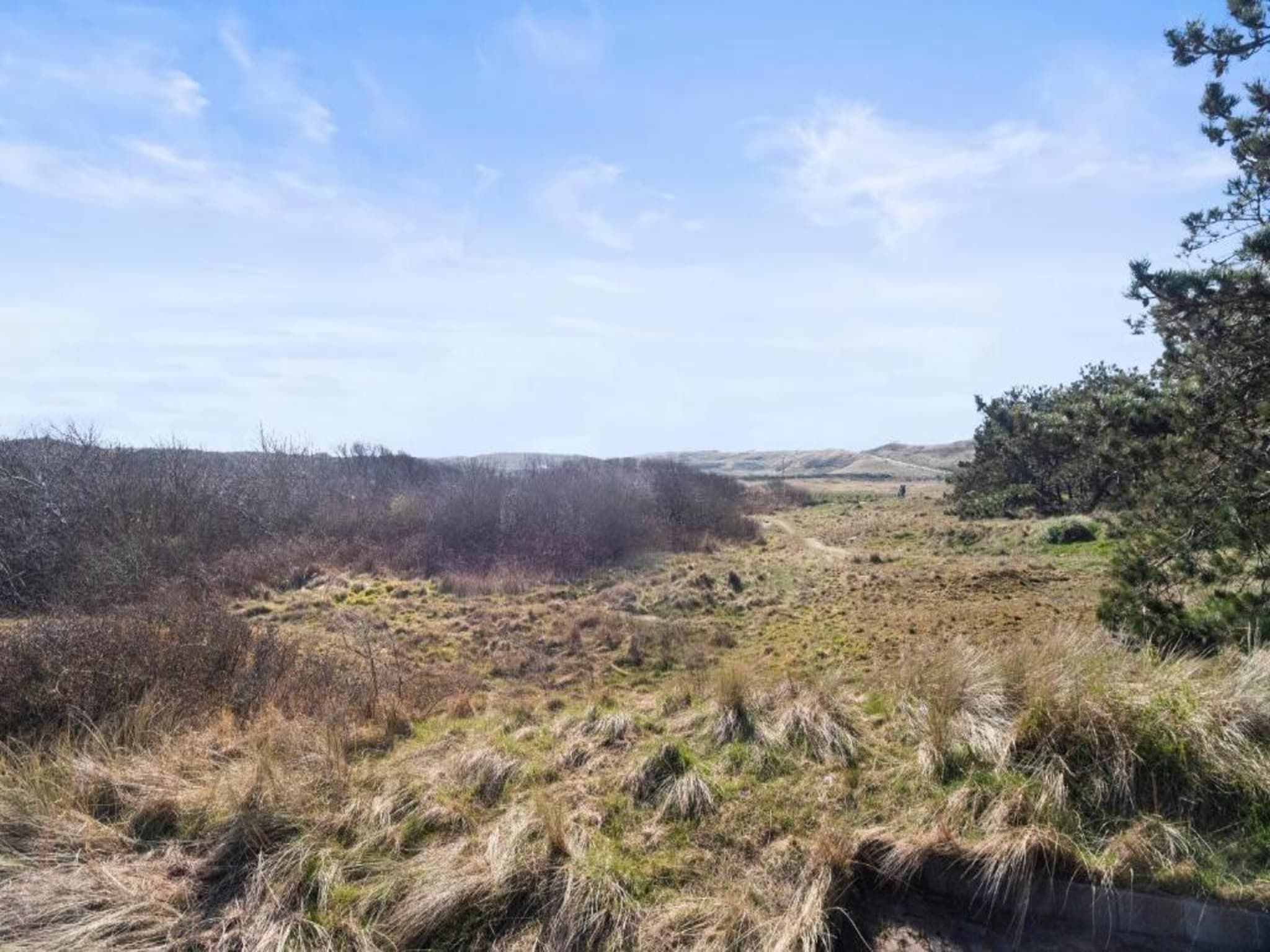 Vakantiepark Callassande 2 in Callantsoog - Foto 39 van 40