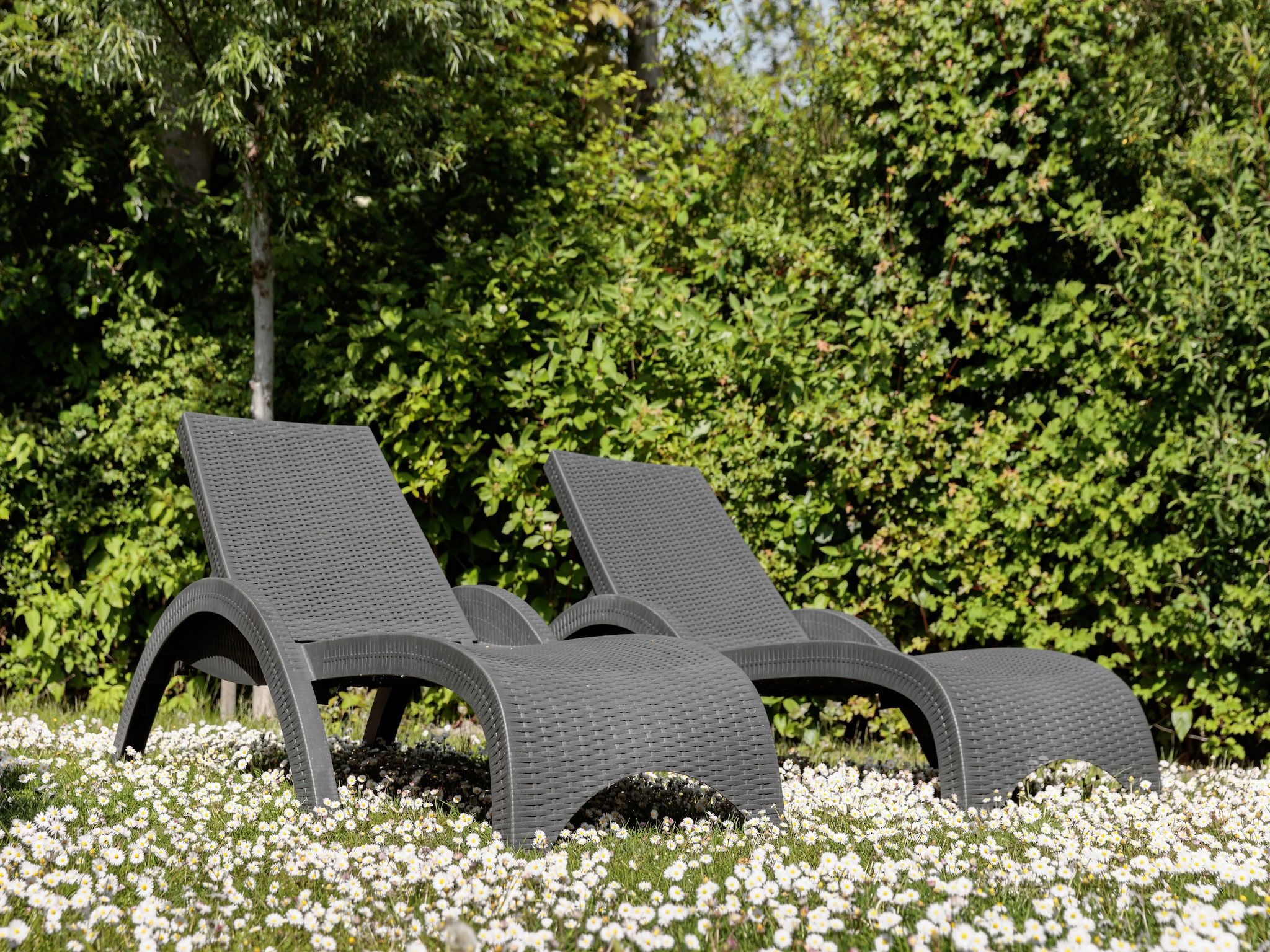 De tuin van Vakantiepark Zeebad 7 in Breskens