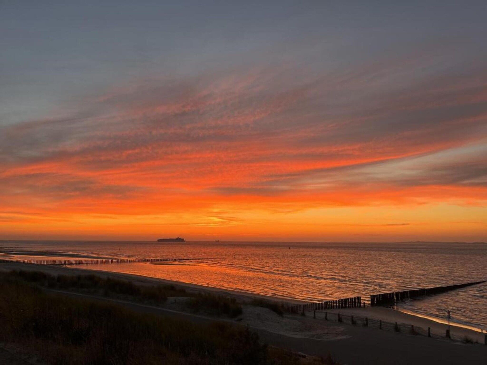De omgeving van Vakantiepark Zeebad 7 in Breskens
