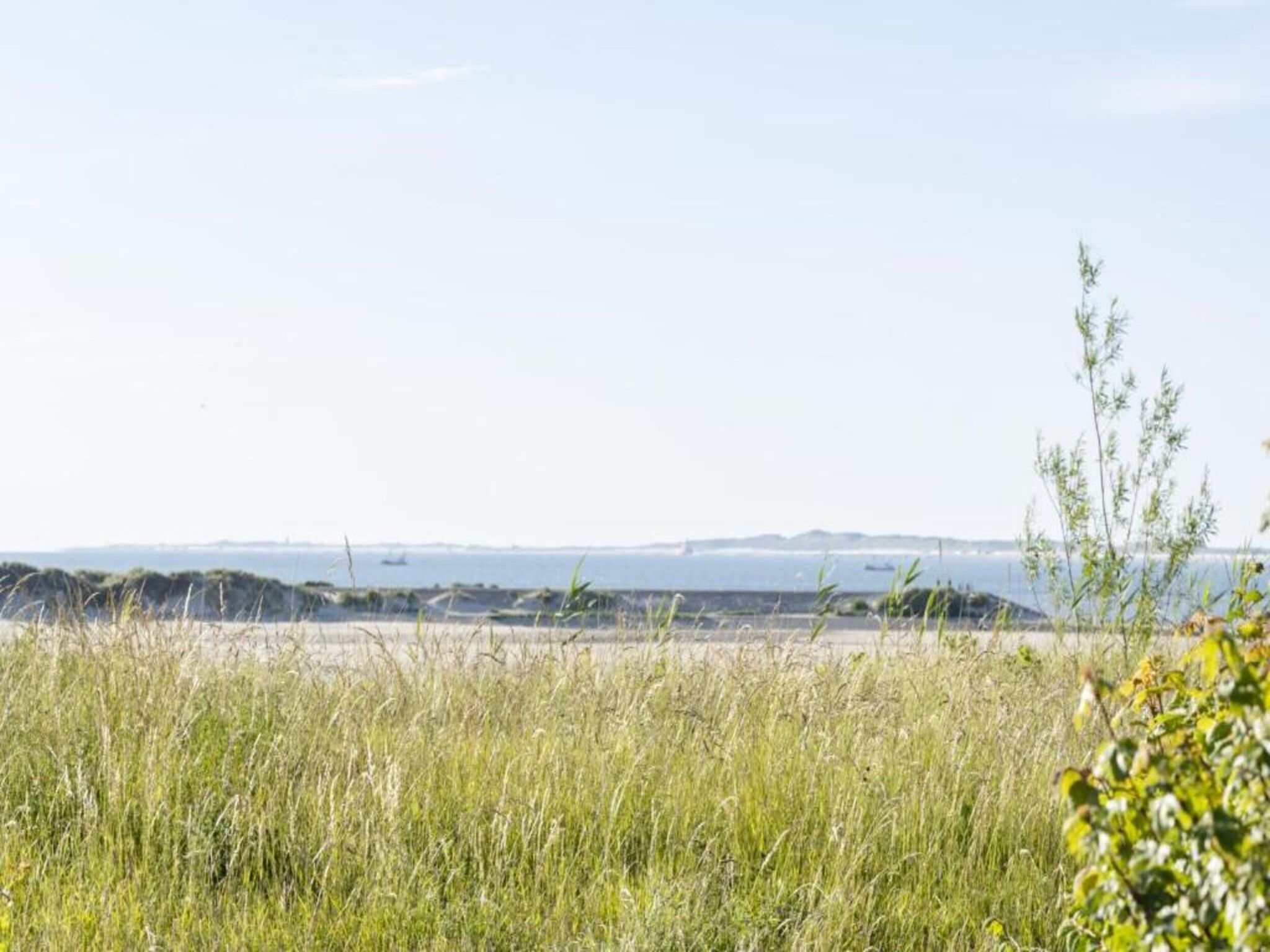 De omgeving van Vakantiepark Zeebad 8 in Breskens