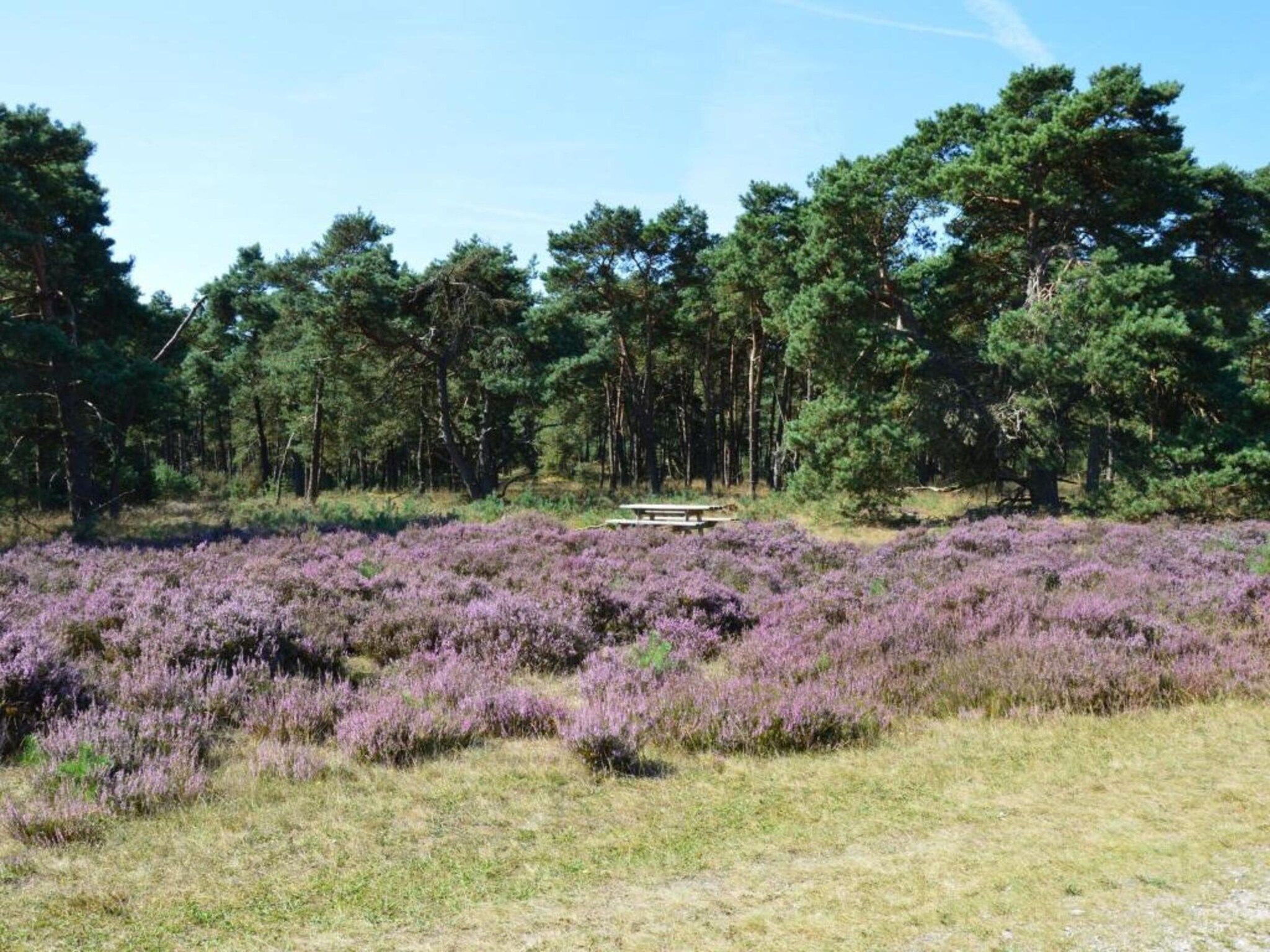 Veluwse Mus in Garderen - Foto 30 van 39