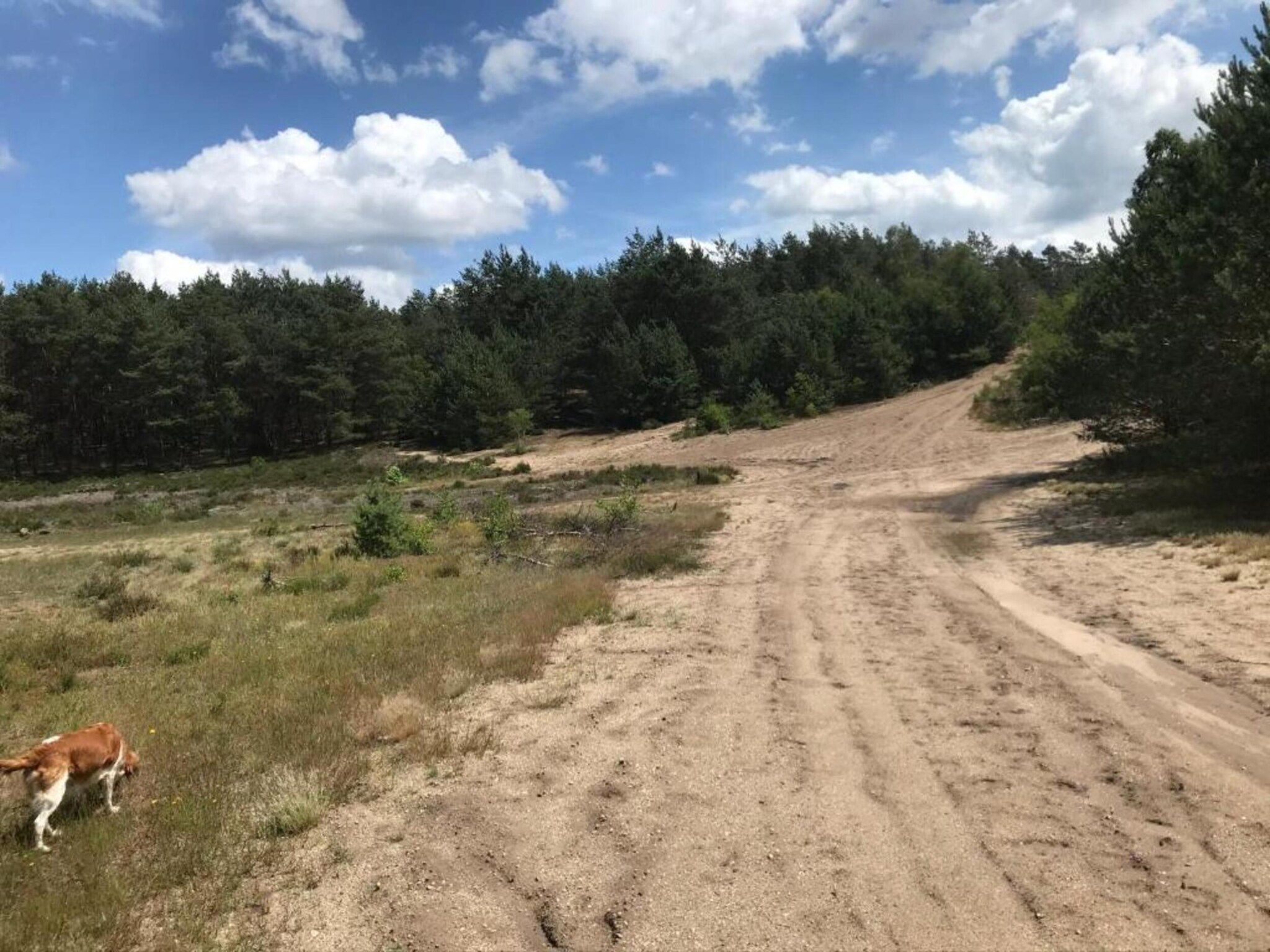 Veluwse Mus in Garderen - Foto 31 van 39