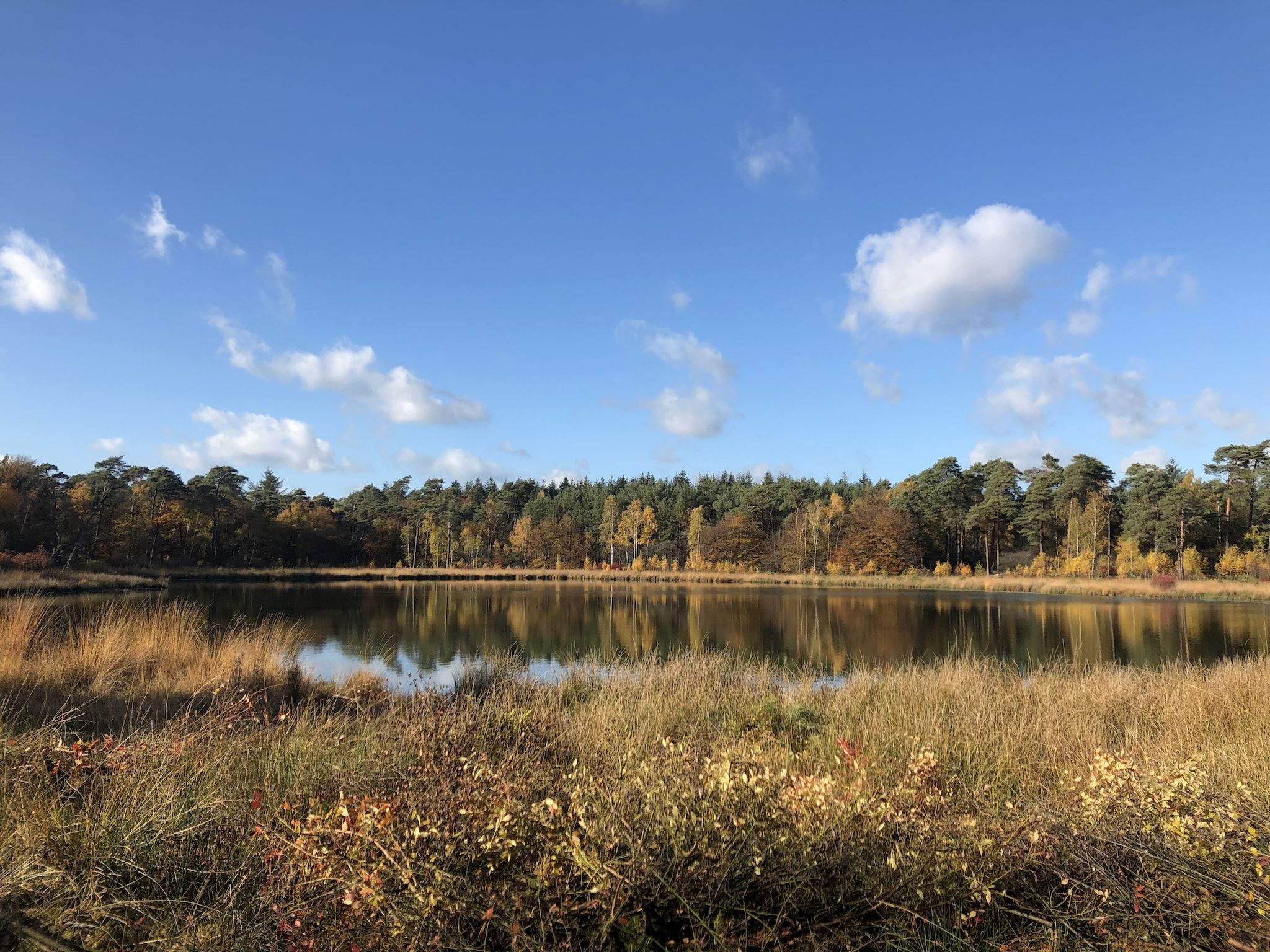 De omgeving van Villa Luttenberg in Luttenberg