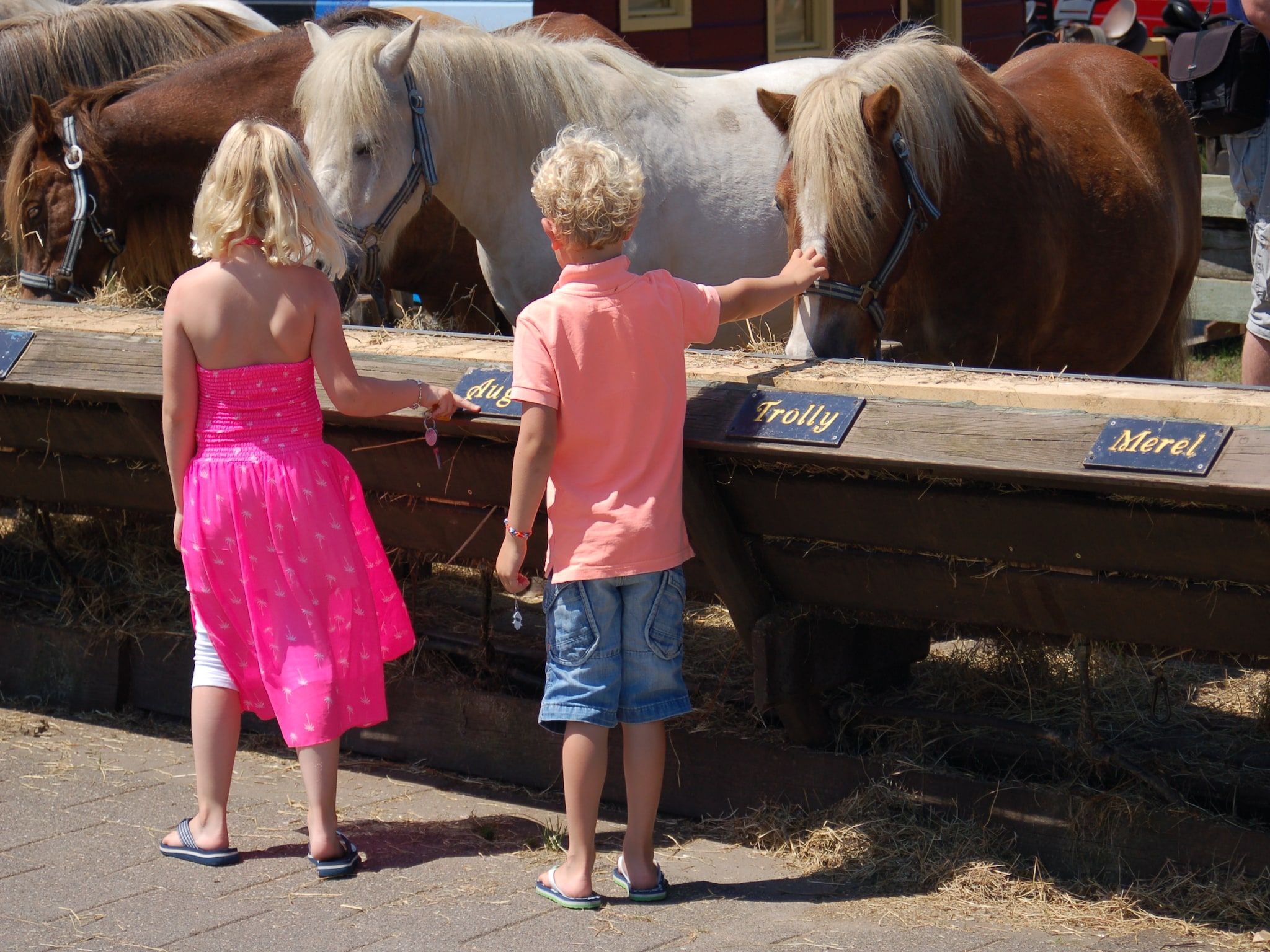 Sfeerbeeld van Kustpark Texel 10 in De Koog