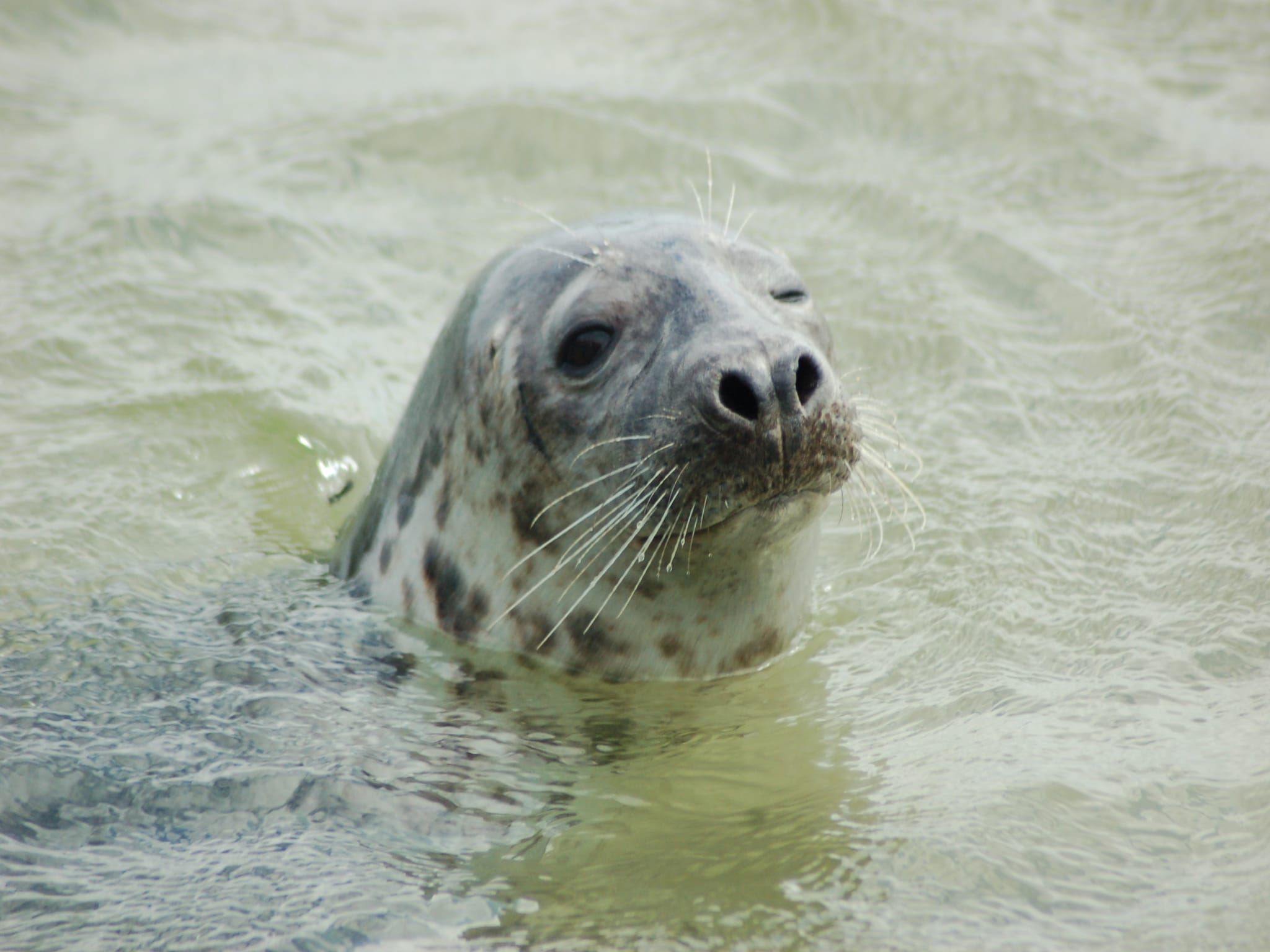 Sfeerbeeld van Kustpark Texel 10 in De Koog