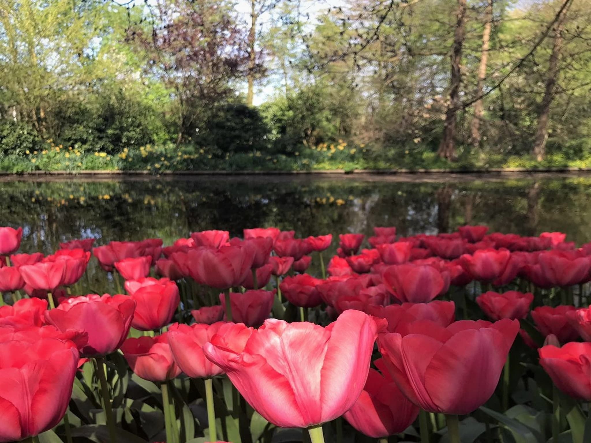 Scheveningen Harbour 54c in Scheveningen - Foto 40 van 40