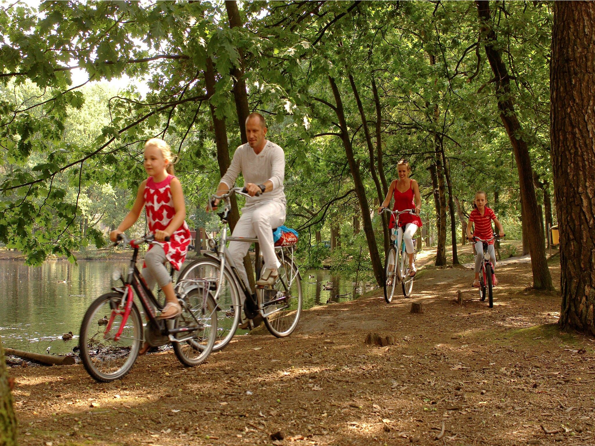 Parkfaciliteiten bij Bospark 't Wolfsven 7 in Mierlo