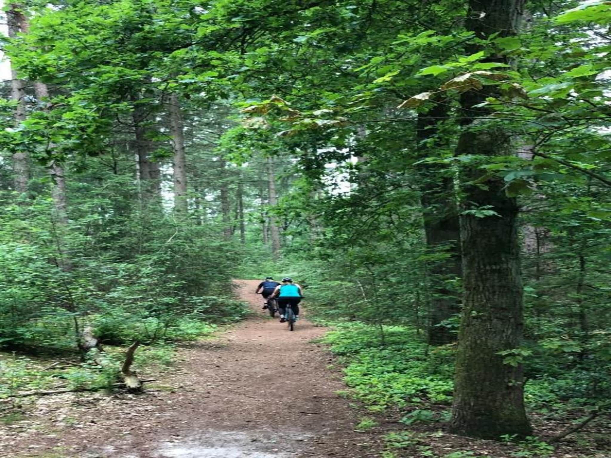 De omgeving van Bospark 't Wolfsven 8 in Mierlo