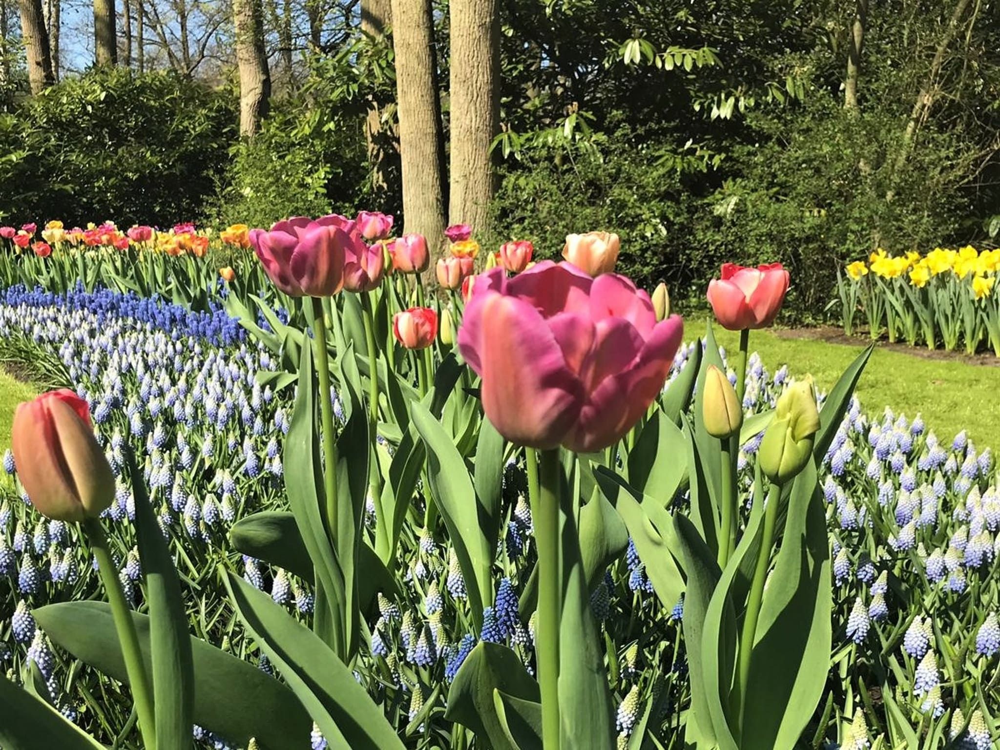 Scheveningen Harbour 22 in Scheveningen - Foto 38 van 38