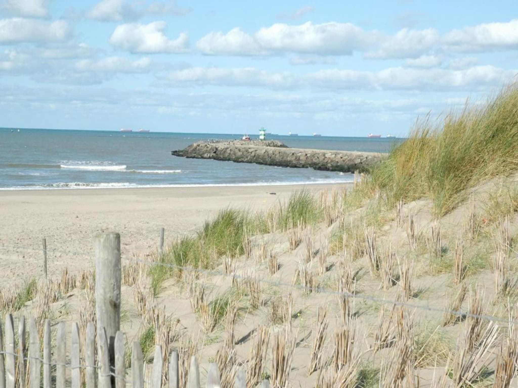 De omgeving van Scheveningen Harbour 66 in Scheveningen