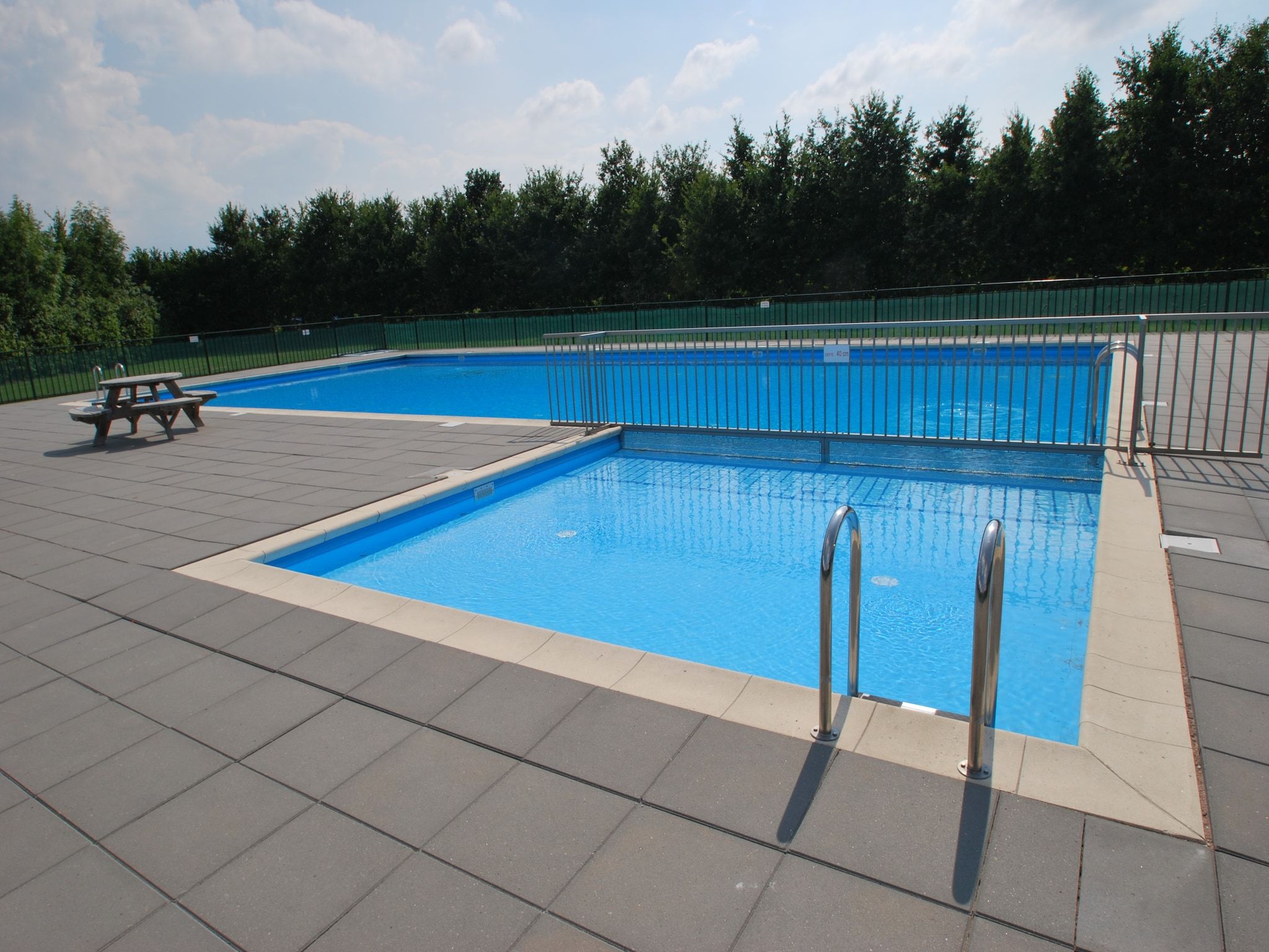 Bosruiter in Zeewolde - Foto 9 van 40