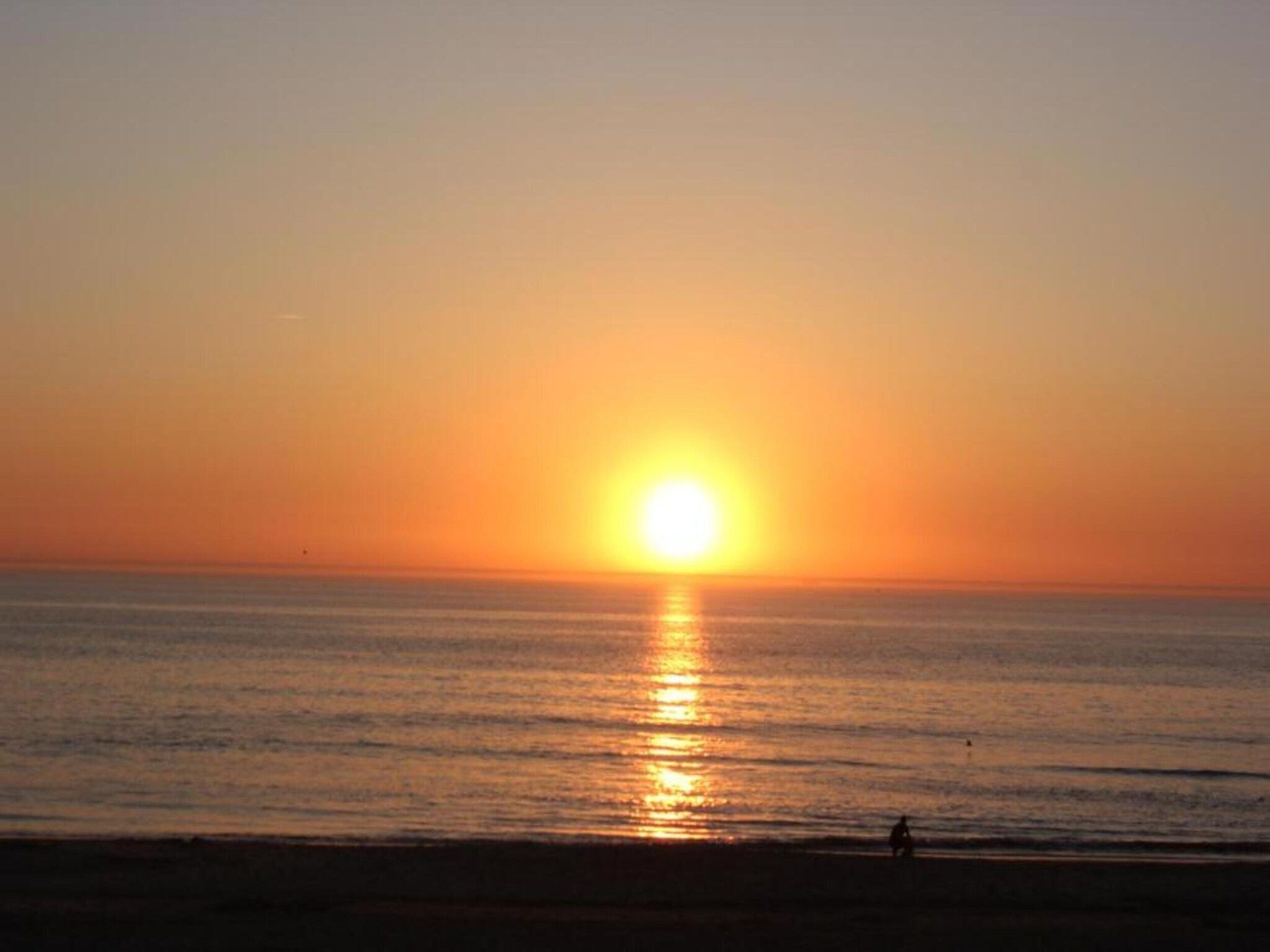 Kustpark Texel 5 in De Koog - Foto 26 van 40