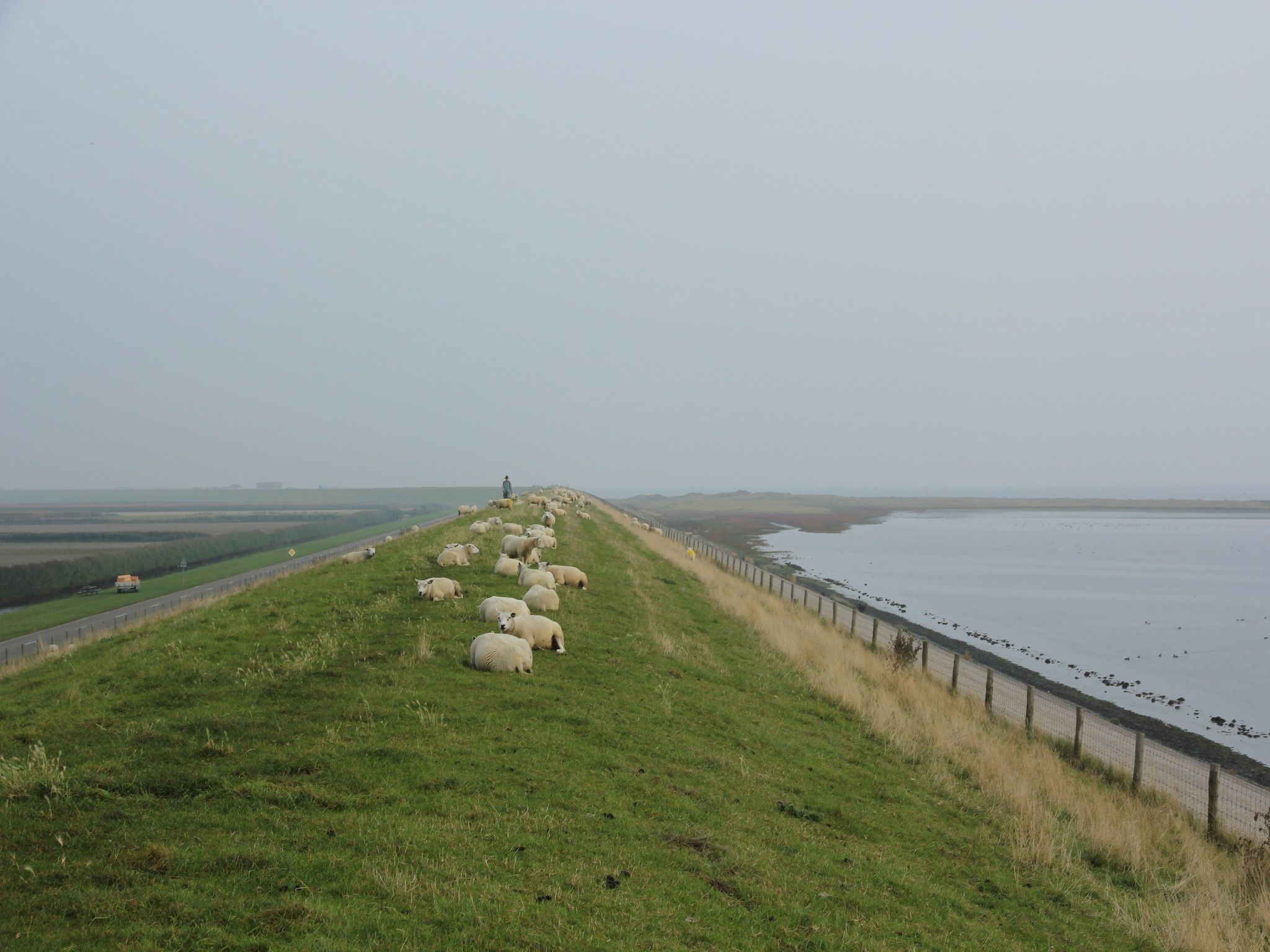 De omgeving van Hodshonstraat B-10 in de Cocksdorp Texel