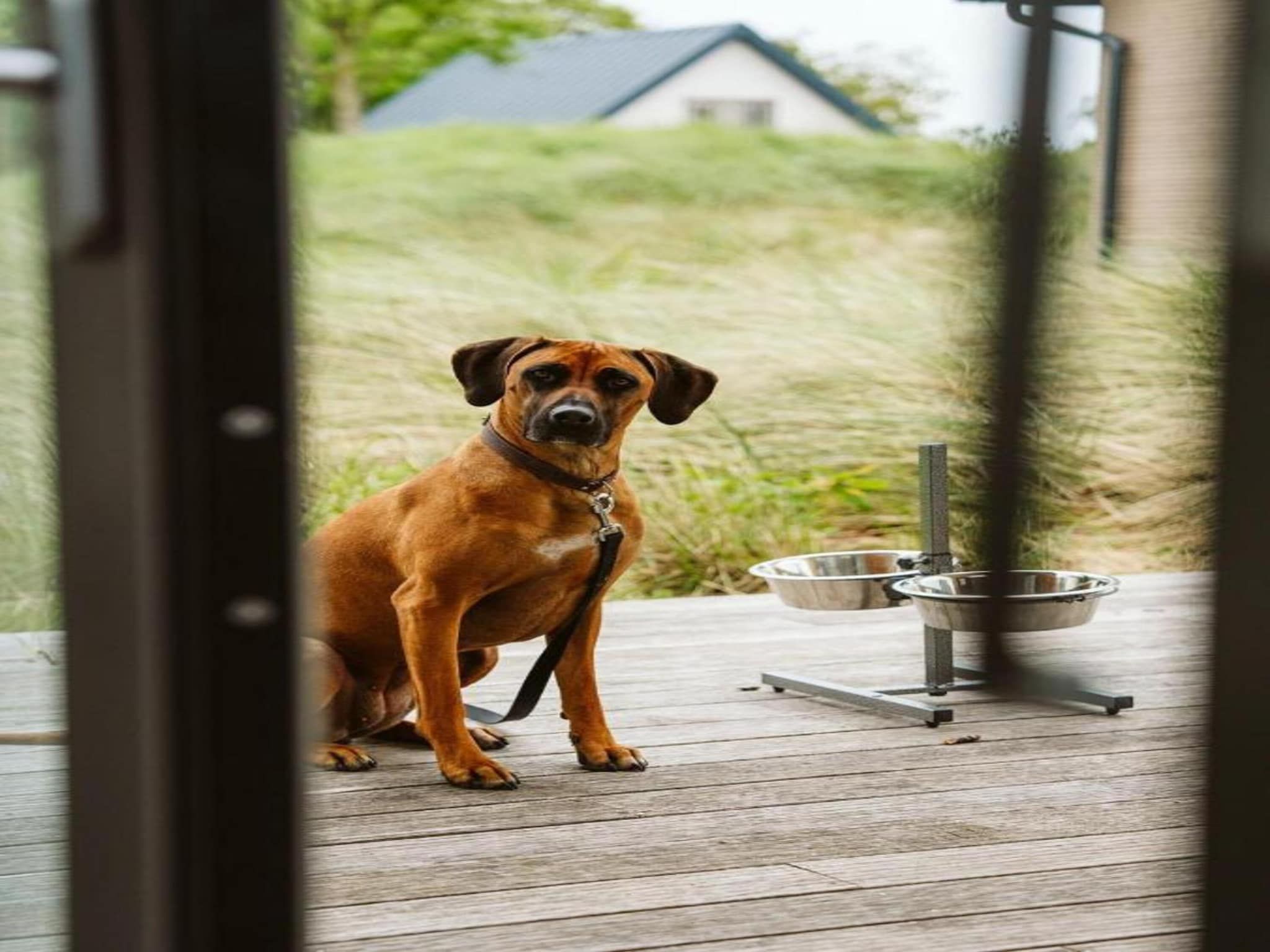 Strandpark Duynhille 4 in Ouddorp - Foto 20 van 40