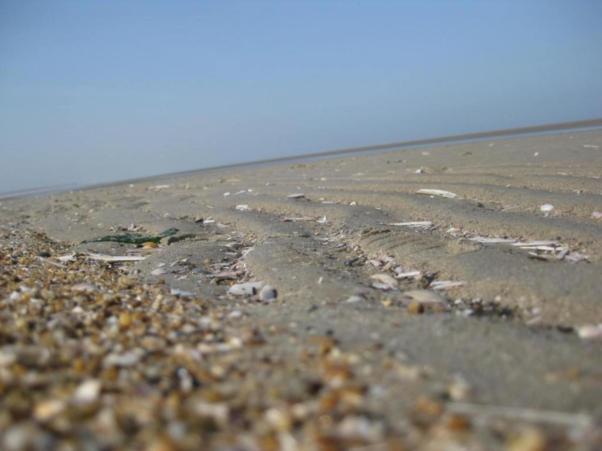 Strandpark Duynhille 4 in Ouddorp - Foto 33 van 40