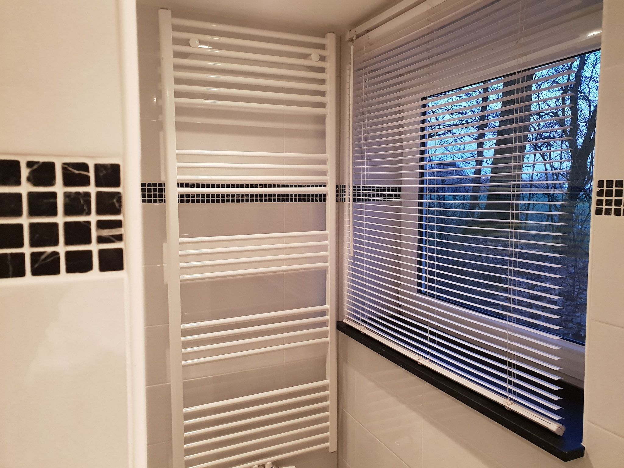 De badkamer van Dorpswoning In het Bos in Leende