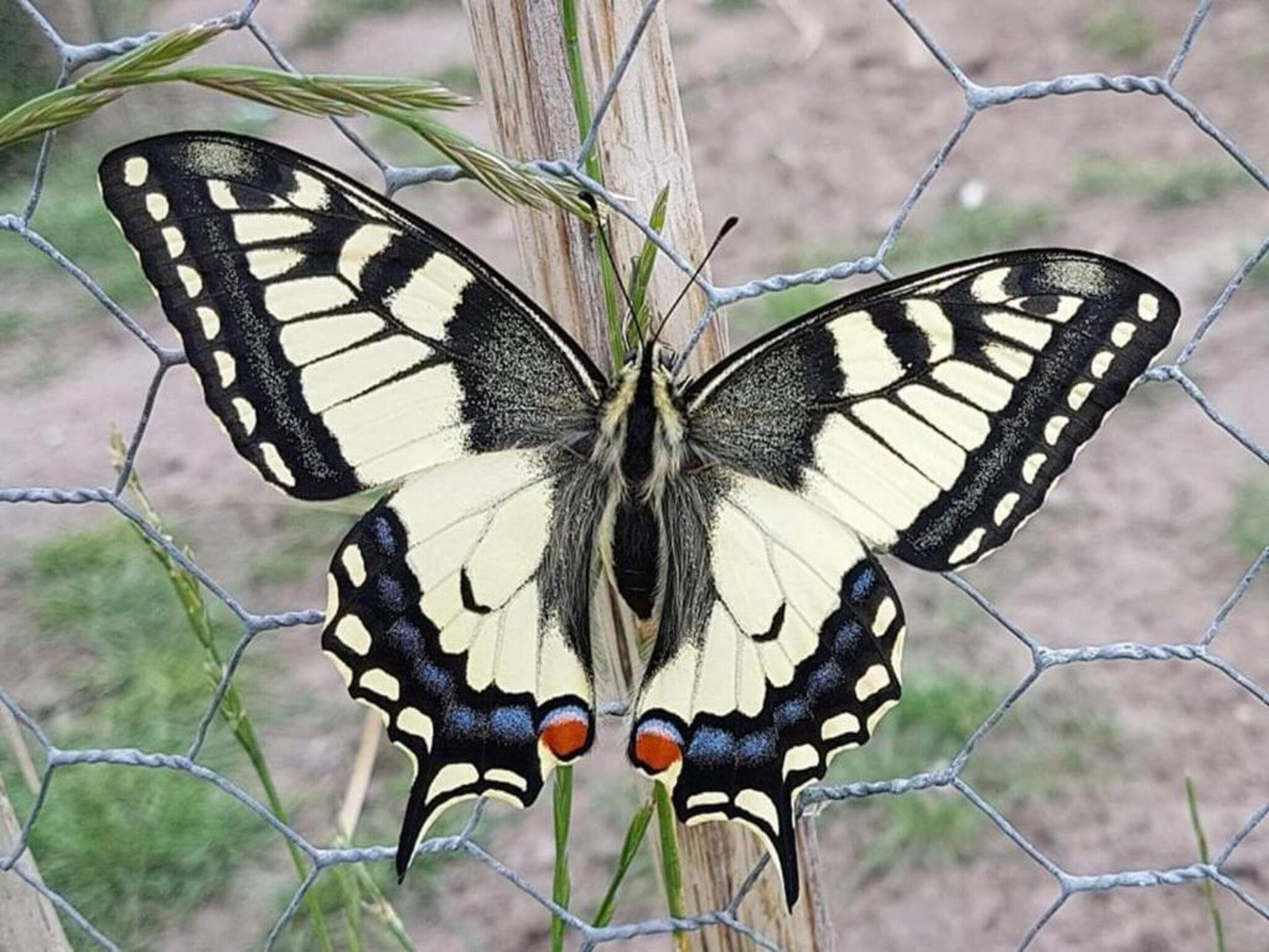 Sfeerbeeld van Dorpswoning In het Bos in Leende