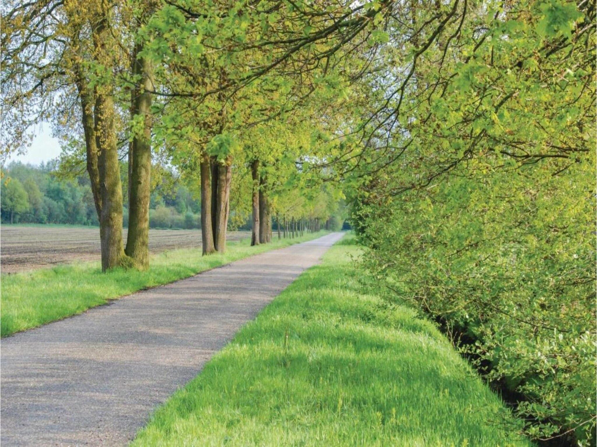 De omgeving van Dorpswoning In het Bos in Leende