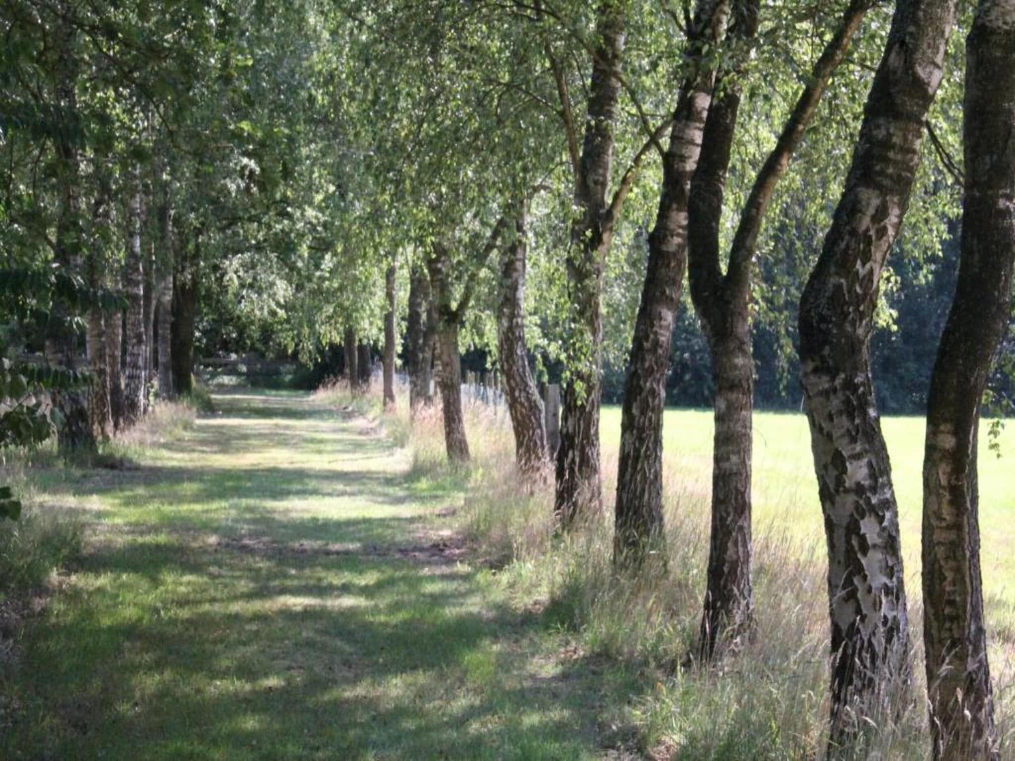 Vakantiepark de Tabaksschuur 3 in Elst - Foto 23 van 30