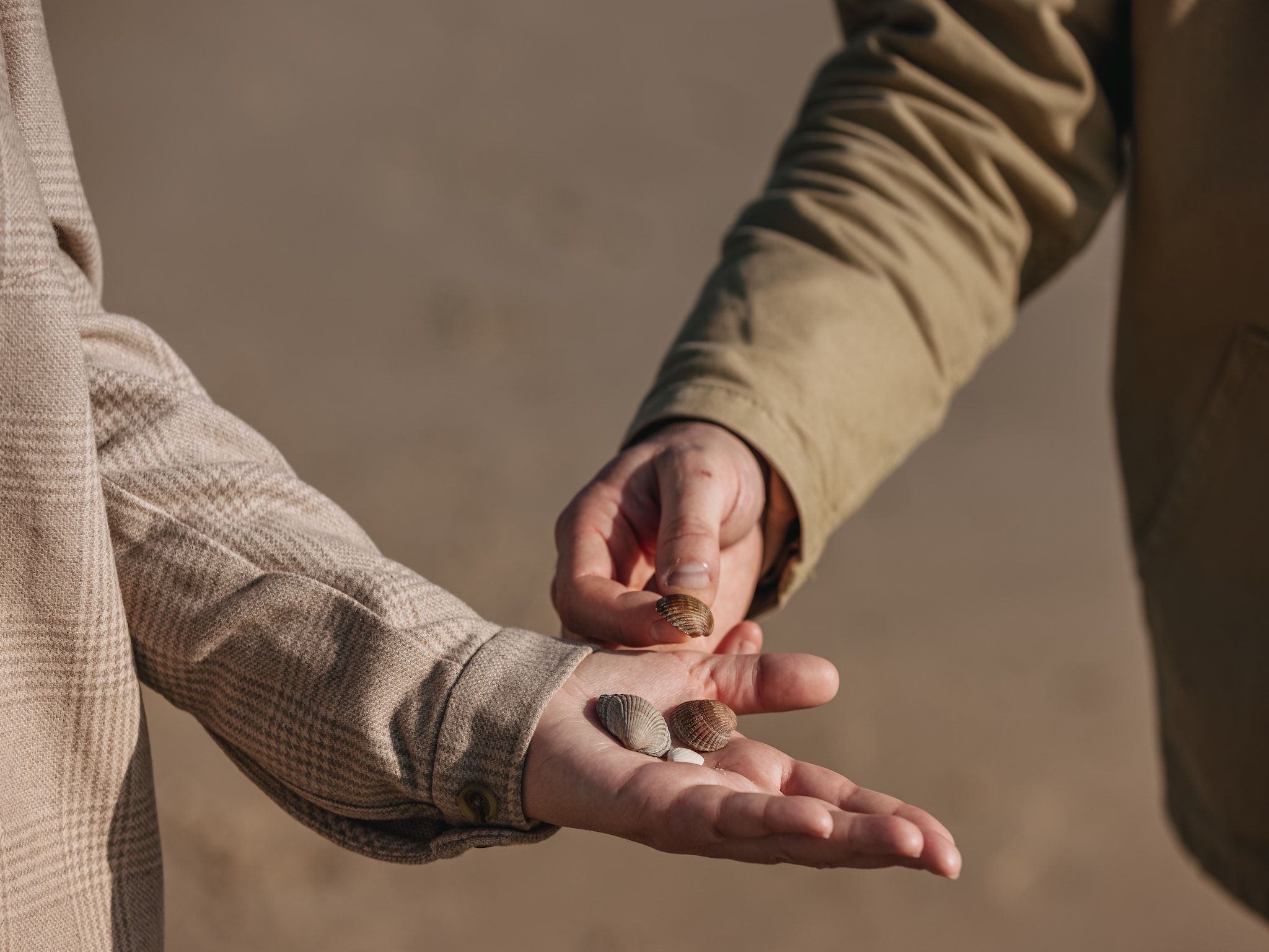 Bosch en Zee 3 in De Koog Texel - Foto 28 van 39