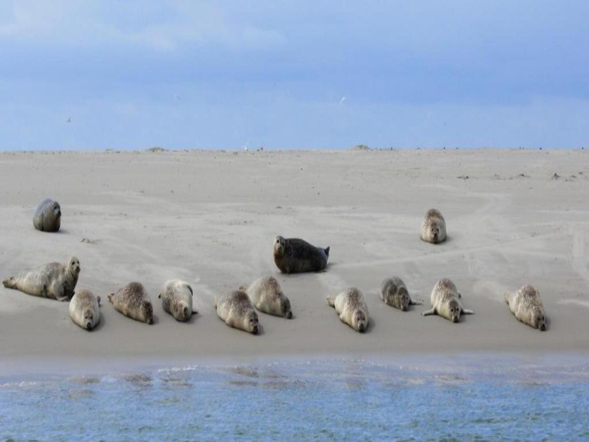 Bosch en Zee 3 in De Koog Texel - Foto 31 van 39