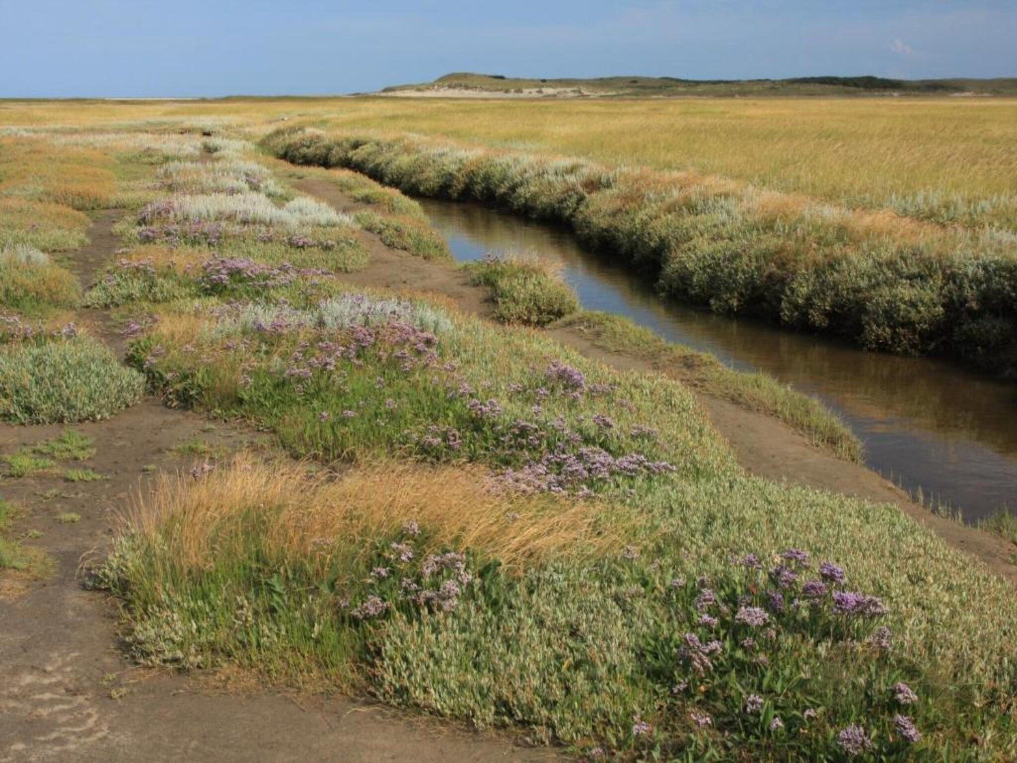 Bosch en Zee 3 in De Koog Texel - Foto 32 van 39