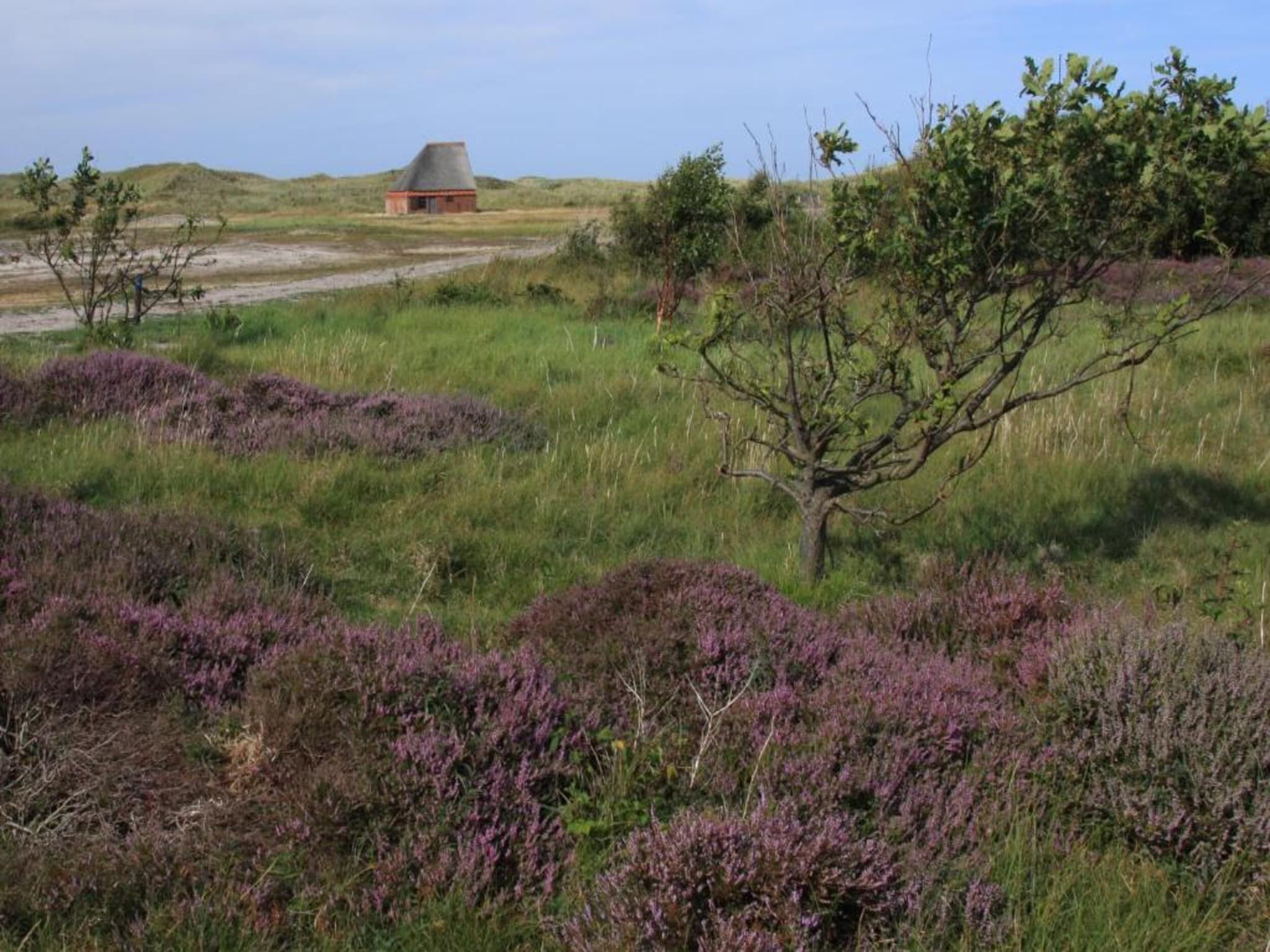 Bosch en Zee 3 in De Koog Texel - Foto 33 van 39