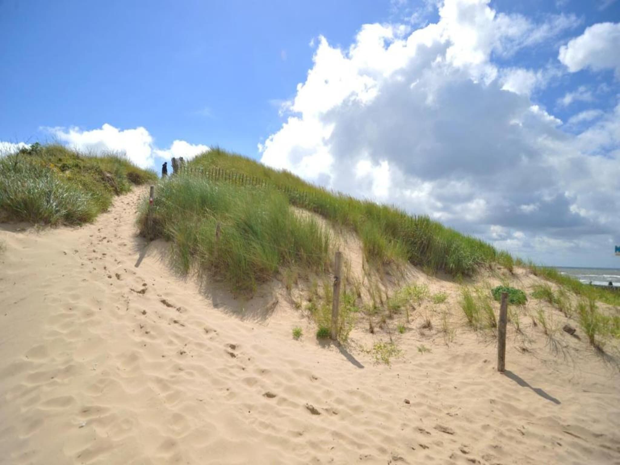 HuizeDuin in Egmond aan Zee - Foto 33 van 40