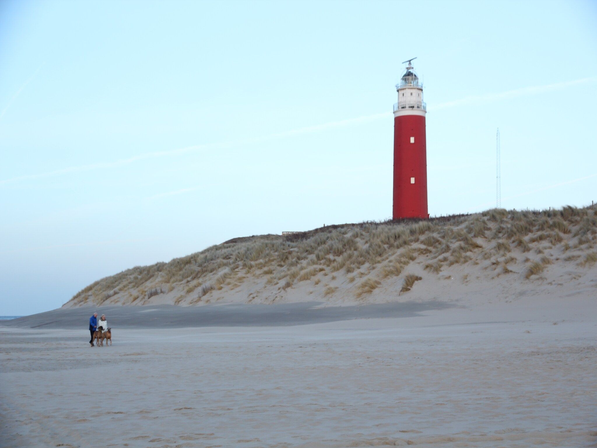 De omgeving van Stoeterij C65 in De Cocksdorp Texel