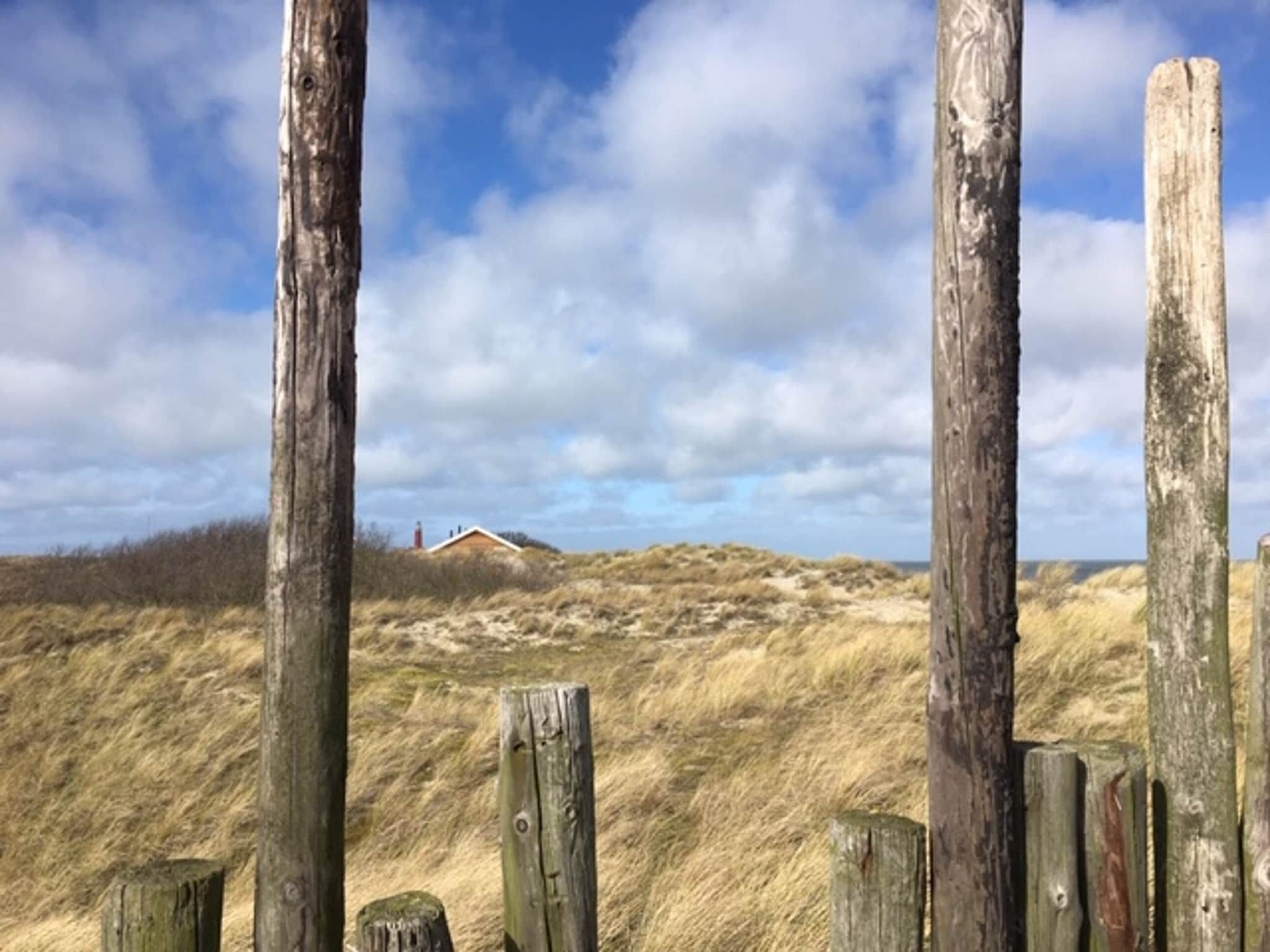 Stoeterij C65 in De Cocksdorp Texel - Foto 10 van 22