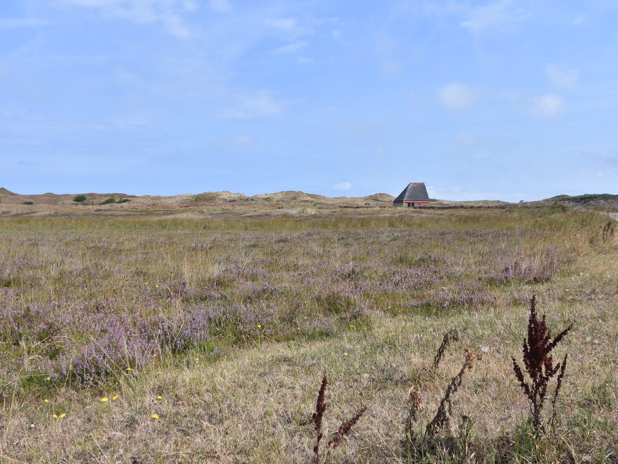 Bungalow Roggesloot A-8a in De Cocksdorp Texel - Foto 21 van 33