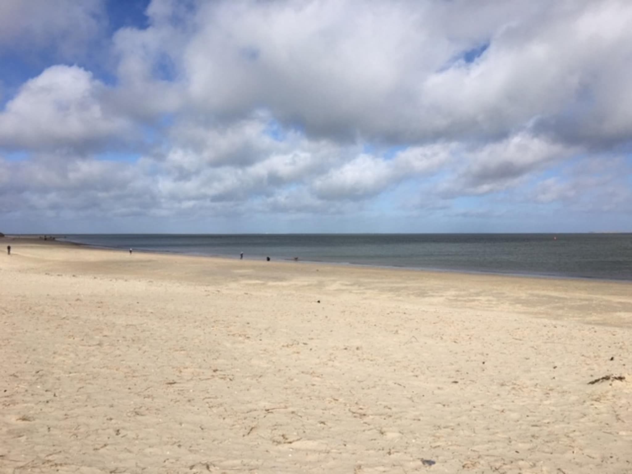 De omgeving van Bungalow Roggesloot A-8a in De Cocksdorp Texel