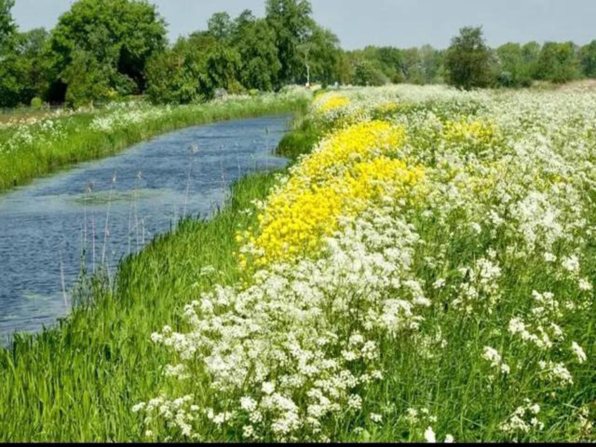 Waterstaete Ossenzijl 2 in Ossenzijl - Foto 19 van 40