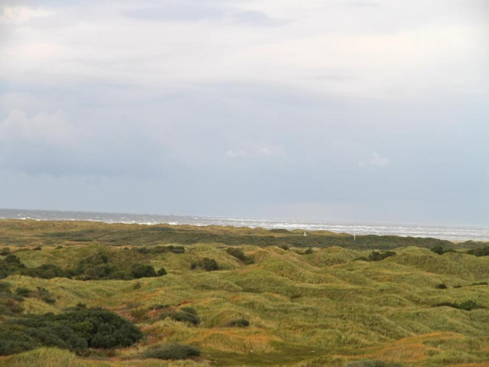 Vakantiepark Boomhiemke 13 in Hollum - Foto 36 van 40