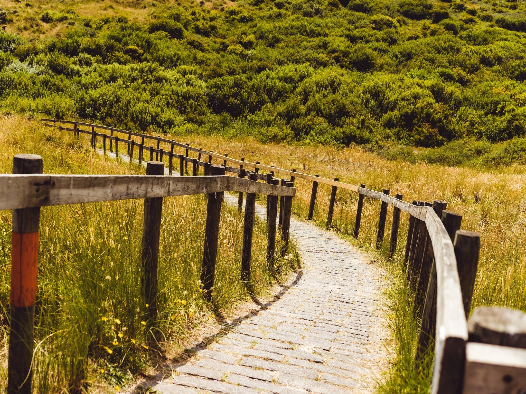 De omgeving van Vakantiepark Boomhiemke 14 in Hollum