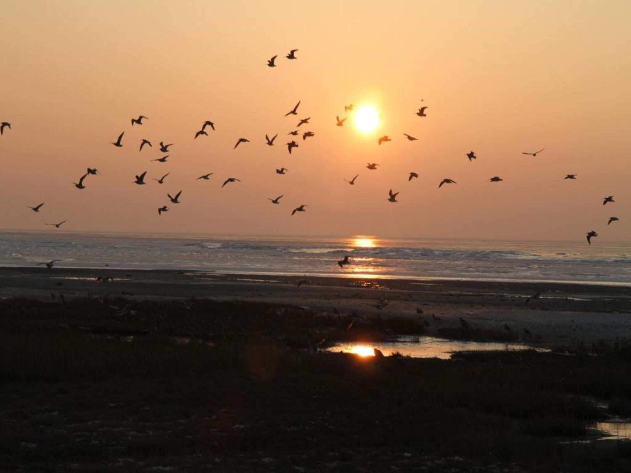 Vakantiepark Boomhiemke 14 in Hollum - Foto 37 van 40